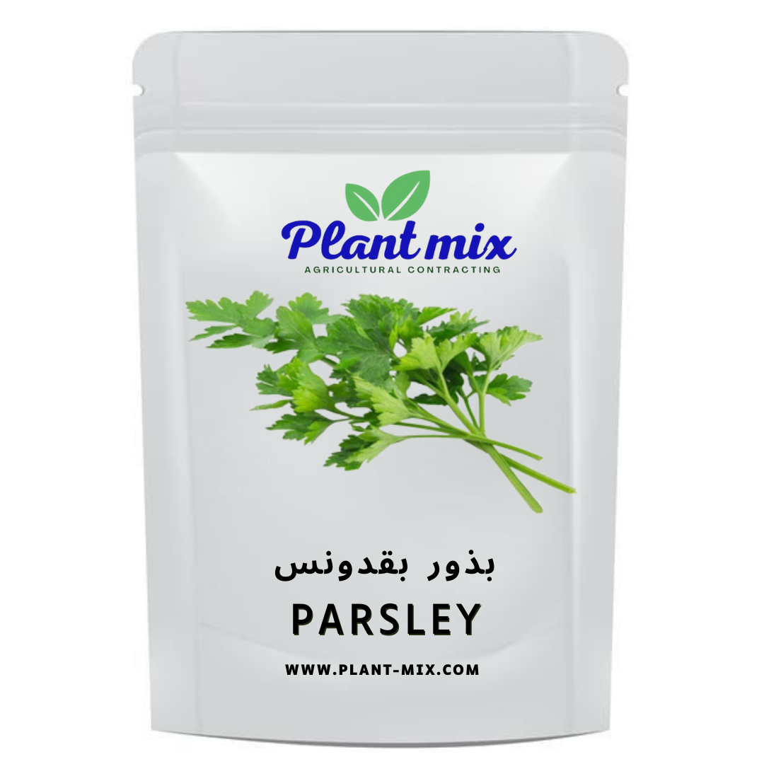 بذور بقدونس وزن 35جم