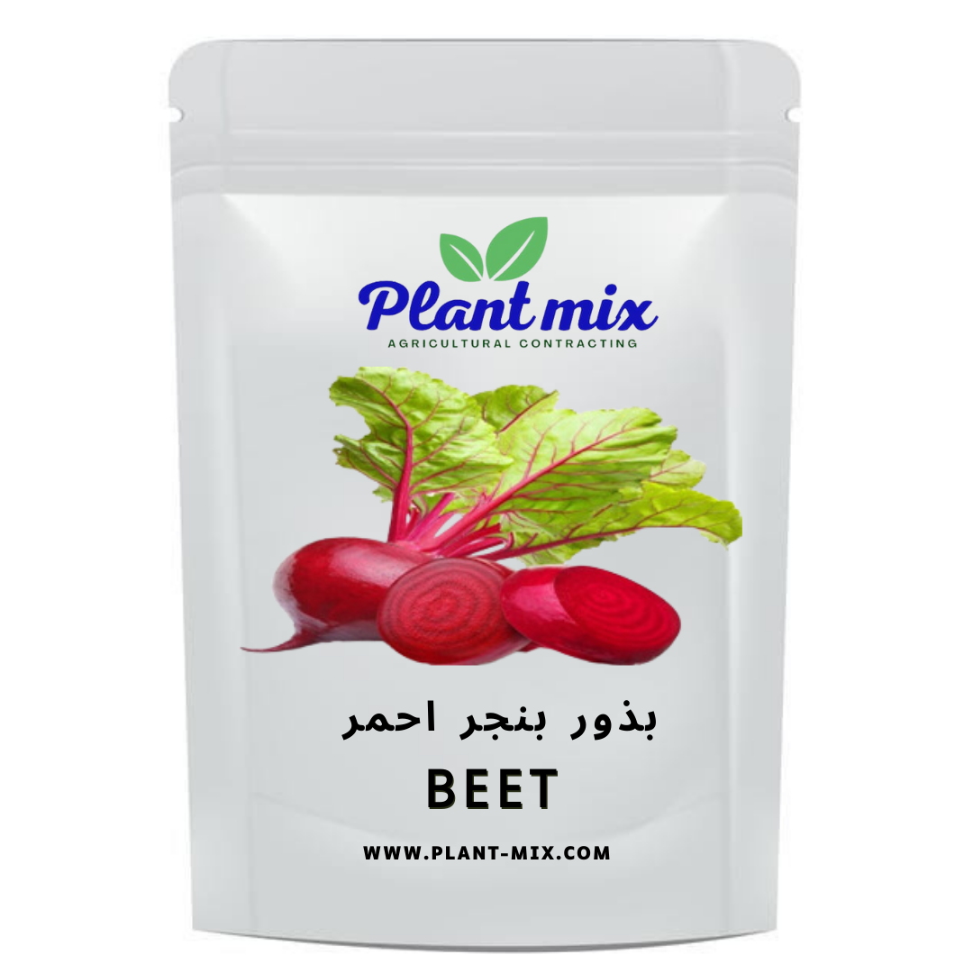 بذور بنجر أحمر وزن 35 جم