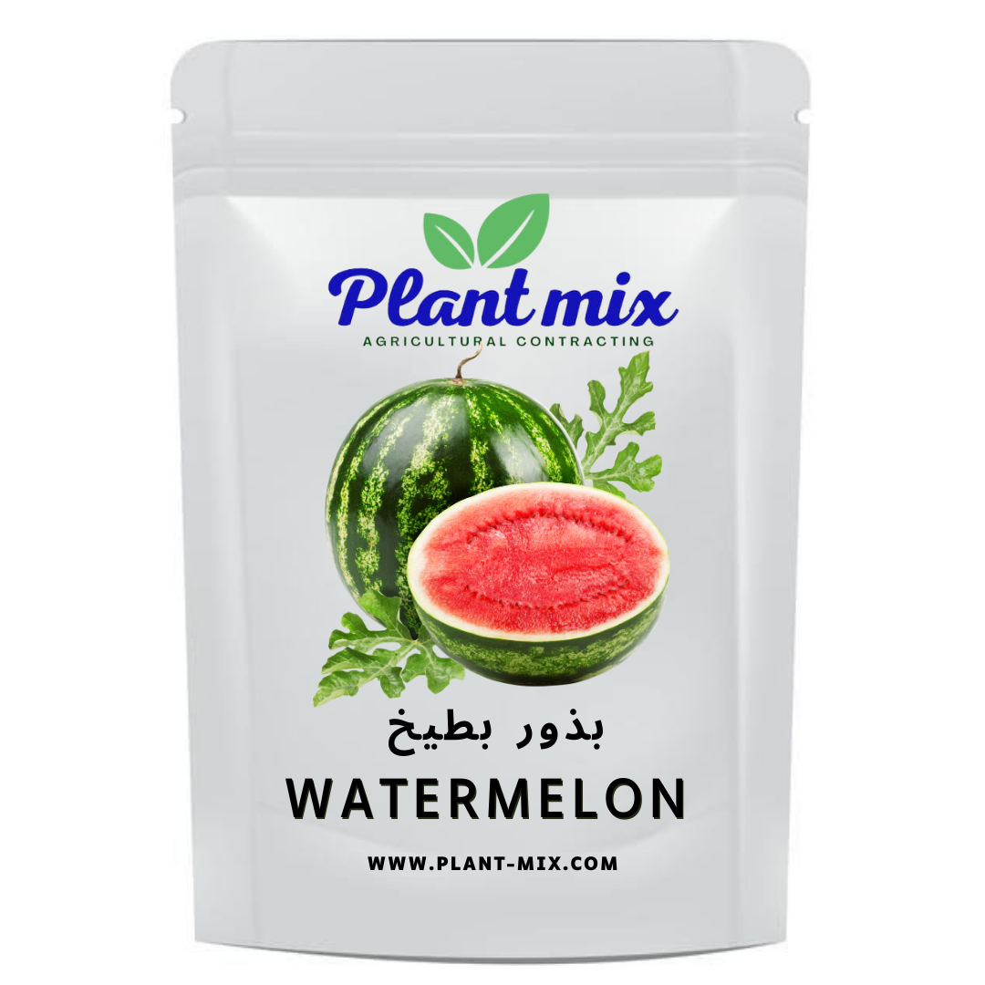 بذور بطيخ وزن 15 جم