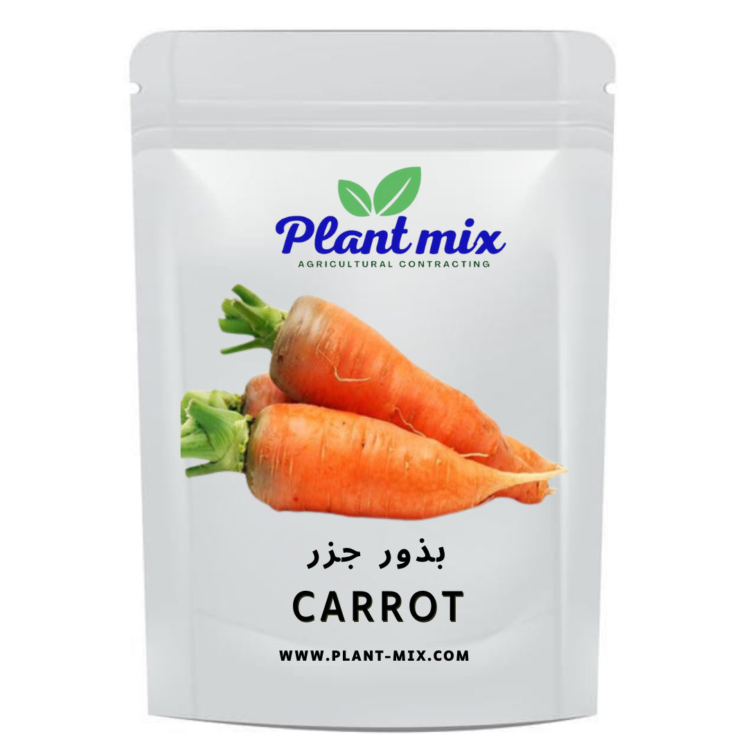 بذور جزر أصفر وزن 15 جم