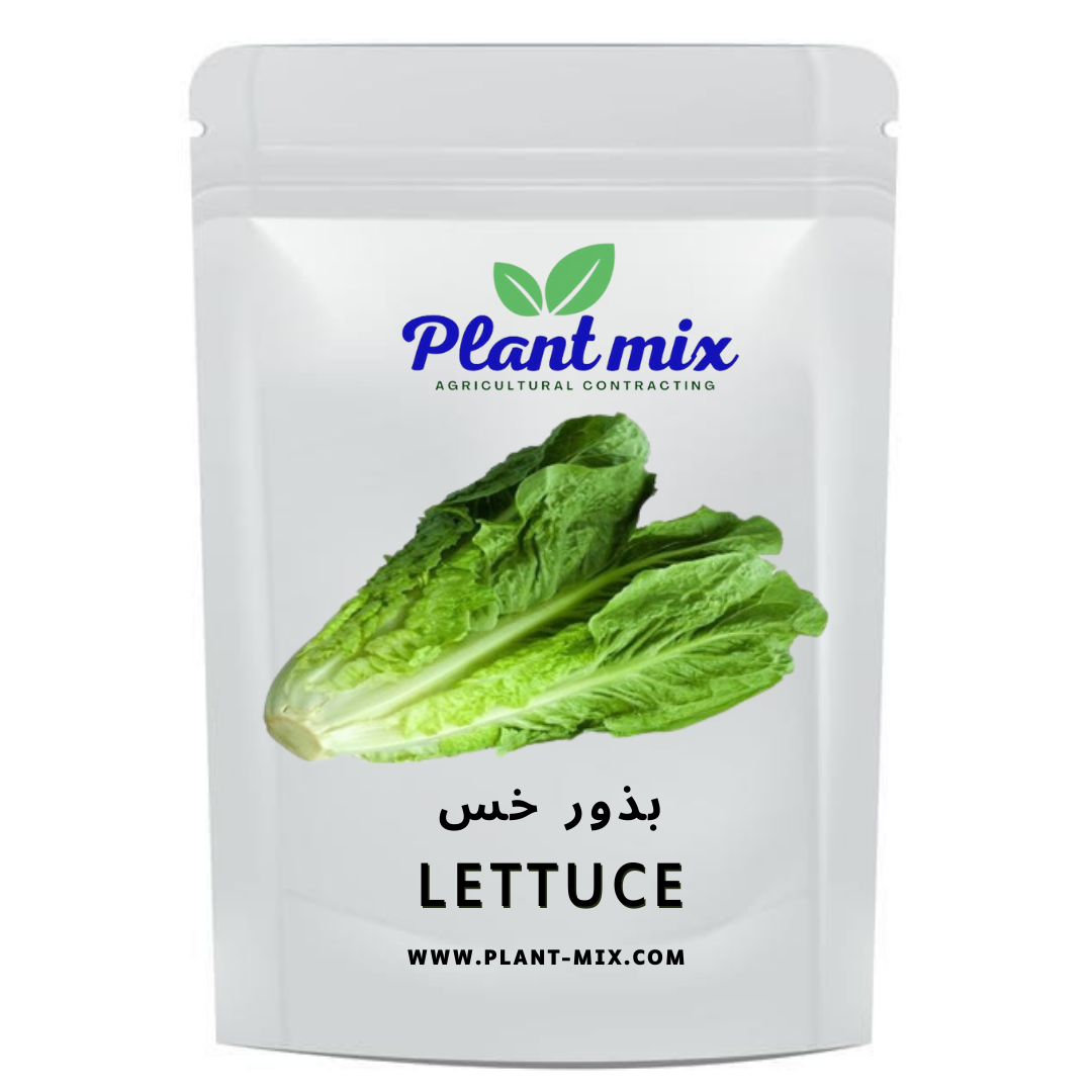 بذور خس وزن 15 جم