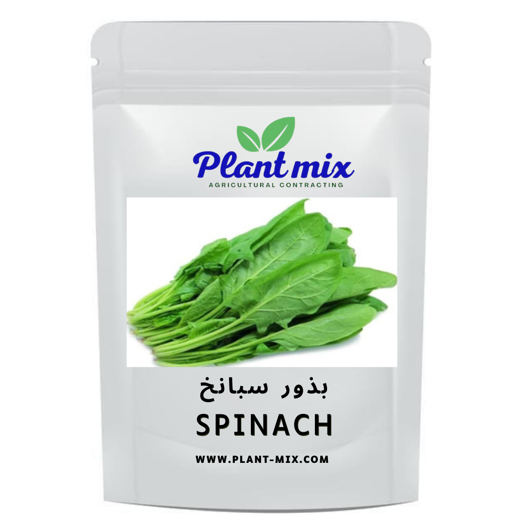بذور سبانخ وزن 35 جم