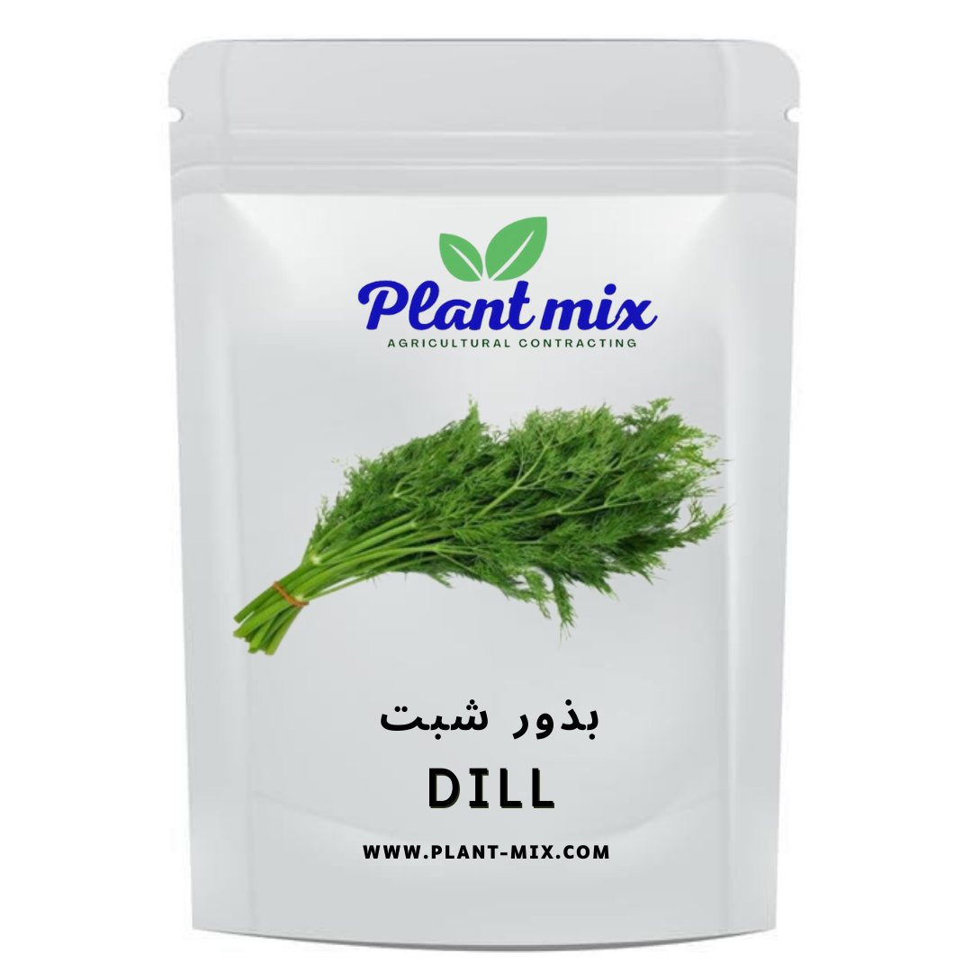 بذور شبت وزن 35 جم