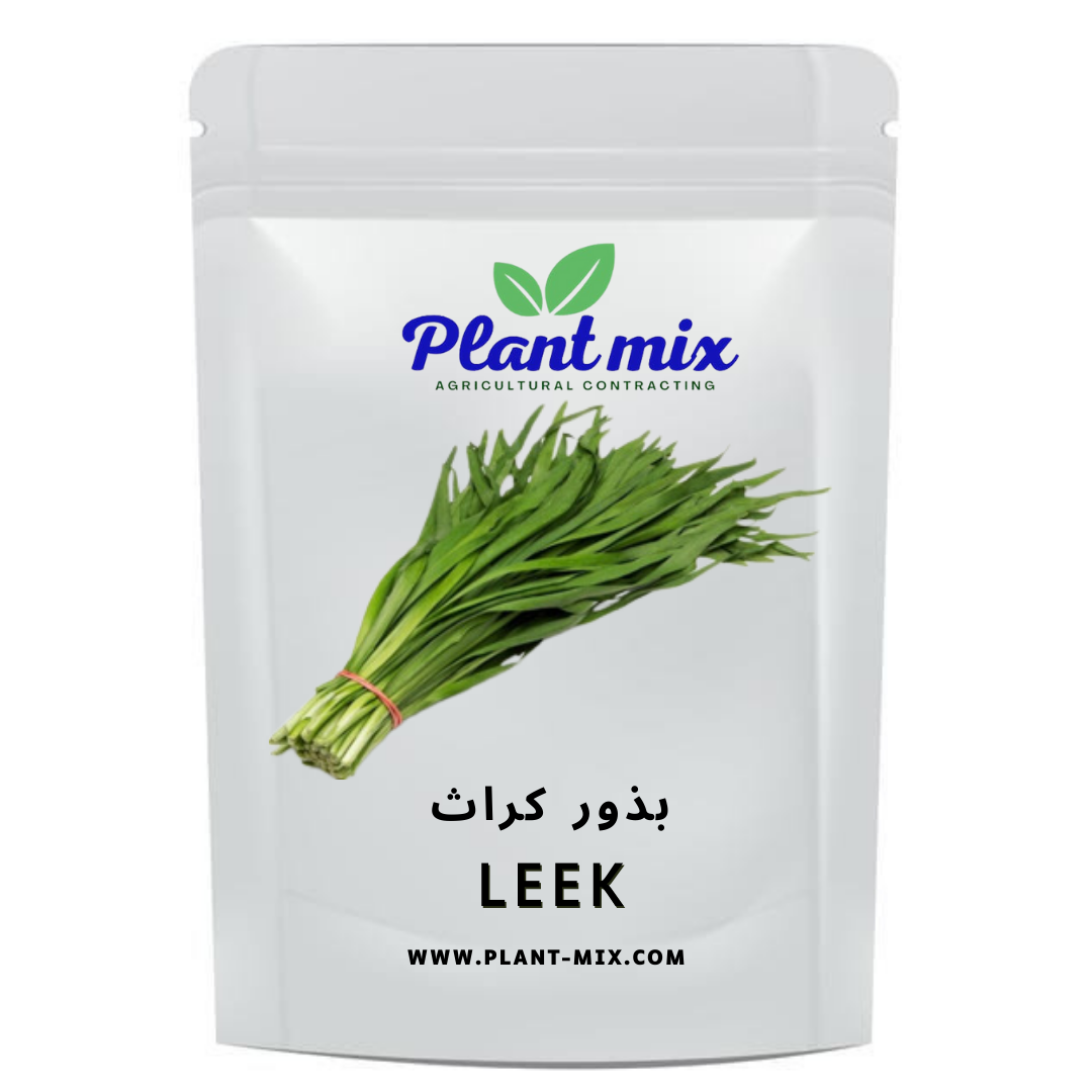 بذور كراث وزن 35 جم