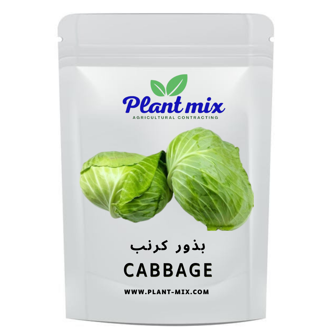 بذور كرنب وزن 15 جم