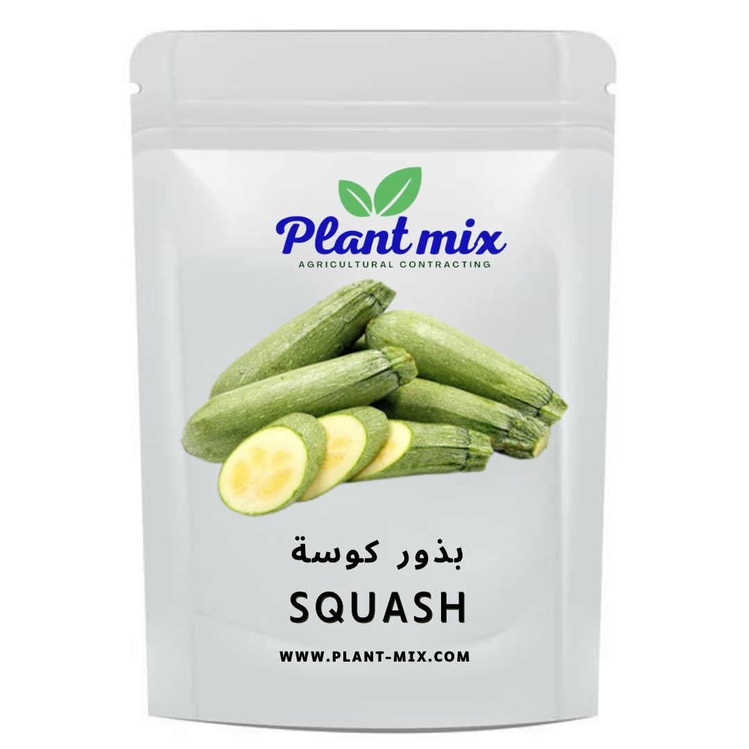 بذور كوسة وزن 35 جم