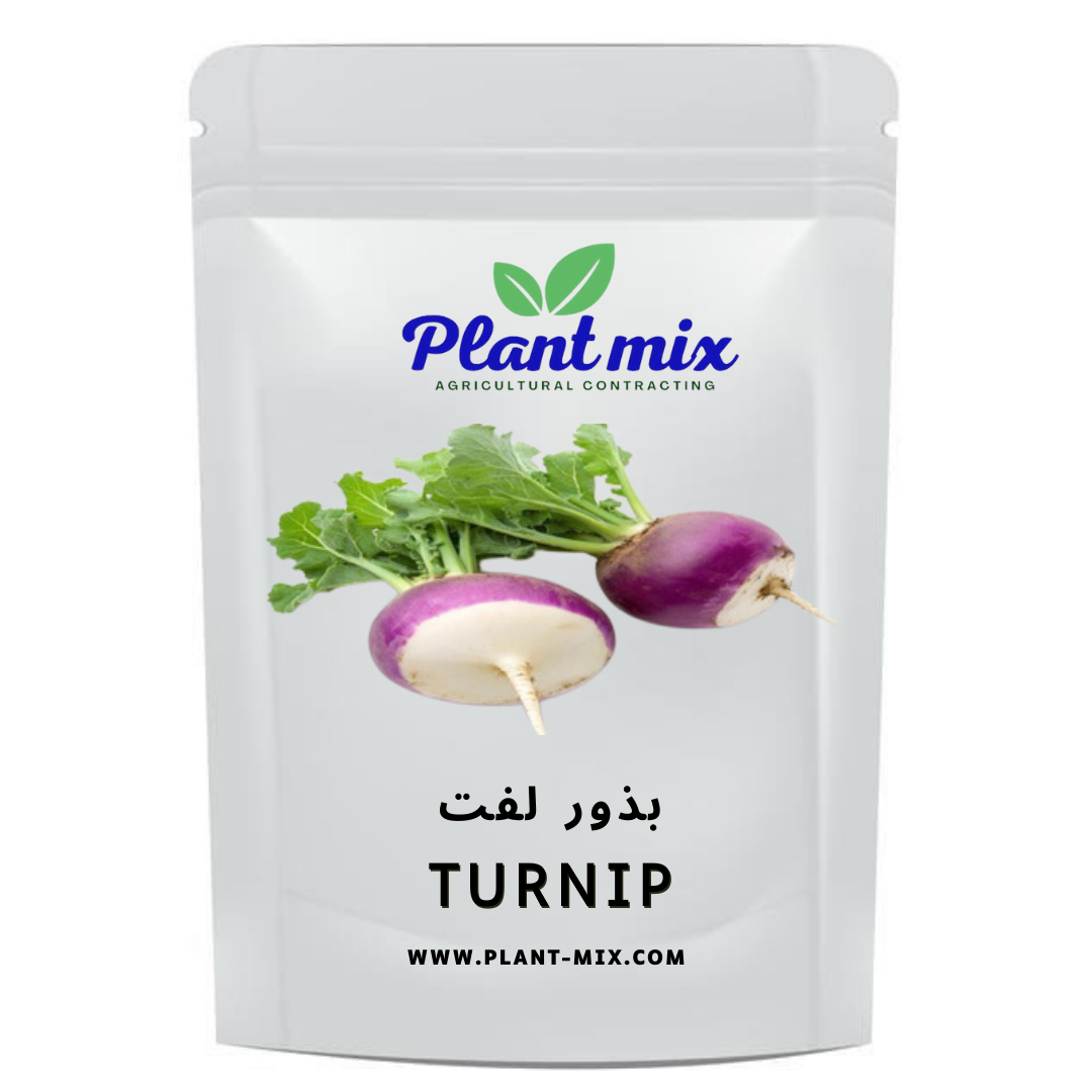 بذور لفت وزن 35 جم