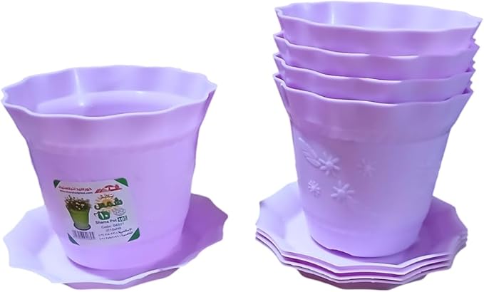 شالية (إصيص) بلاستيك شمس خورشيد مقاس 10 سم ألوان