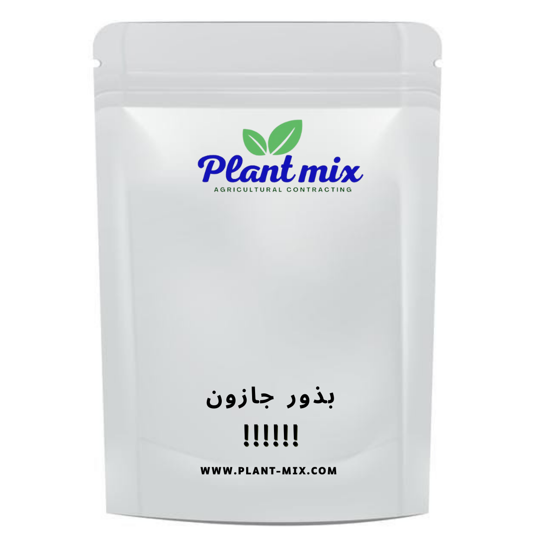 بذور الجازون