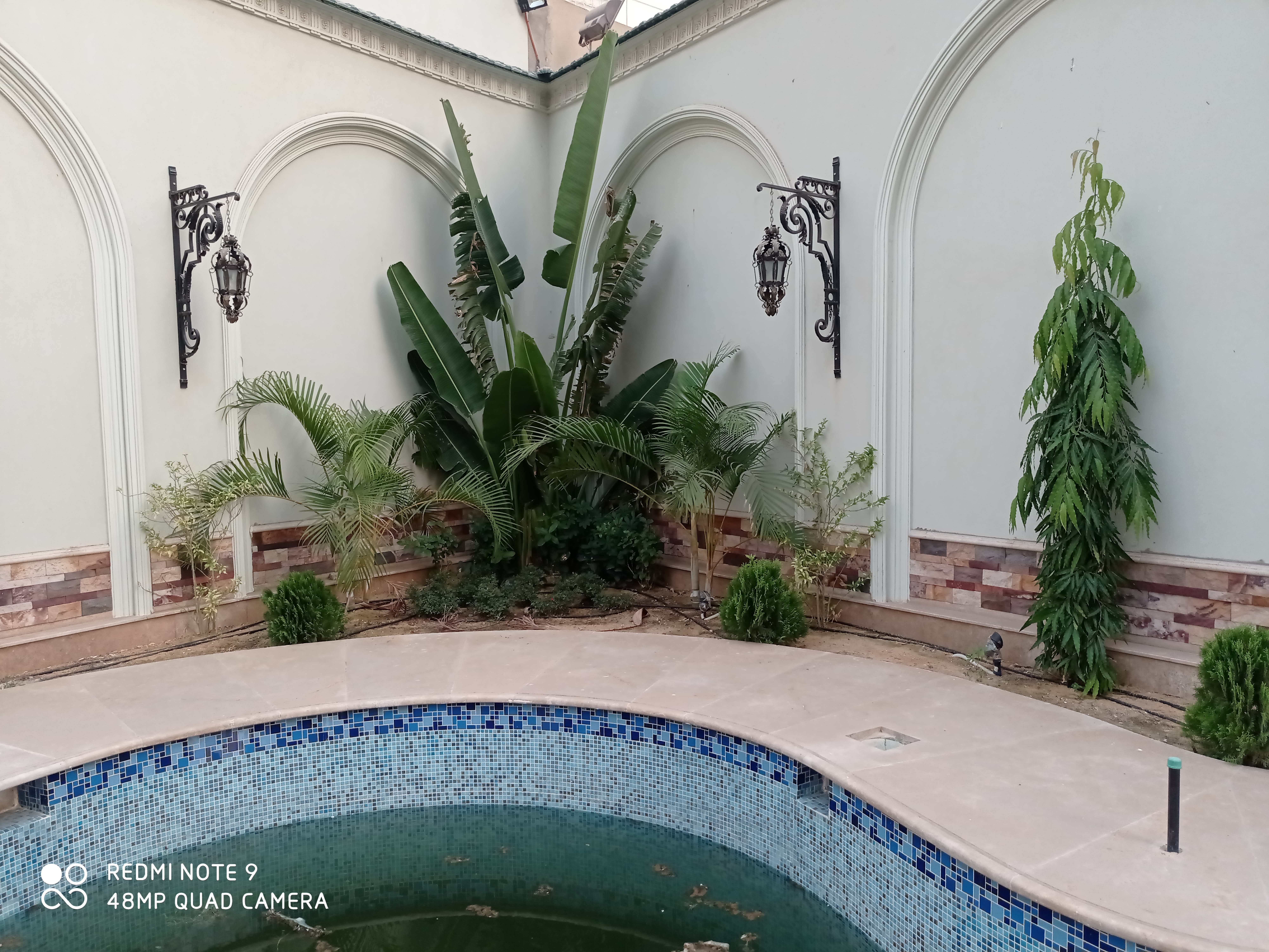 بعد الزراعة 1