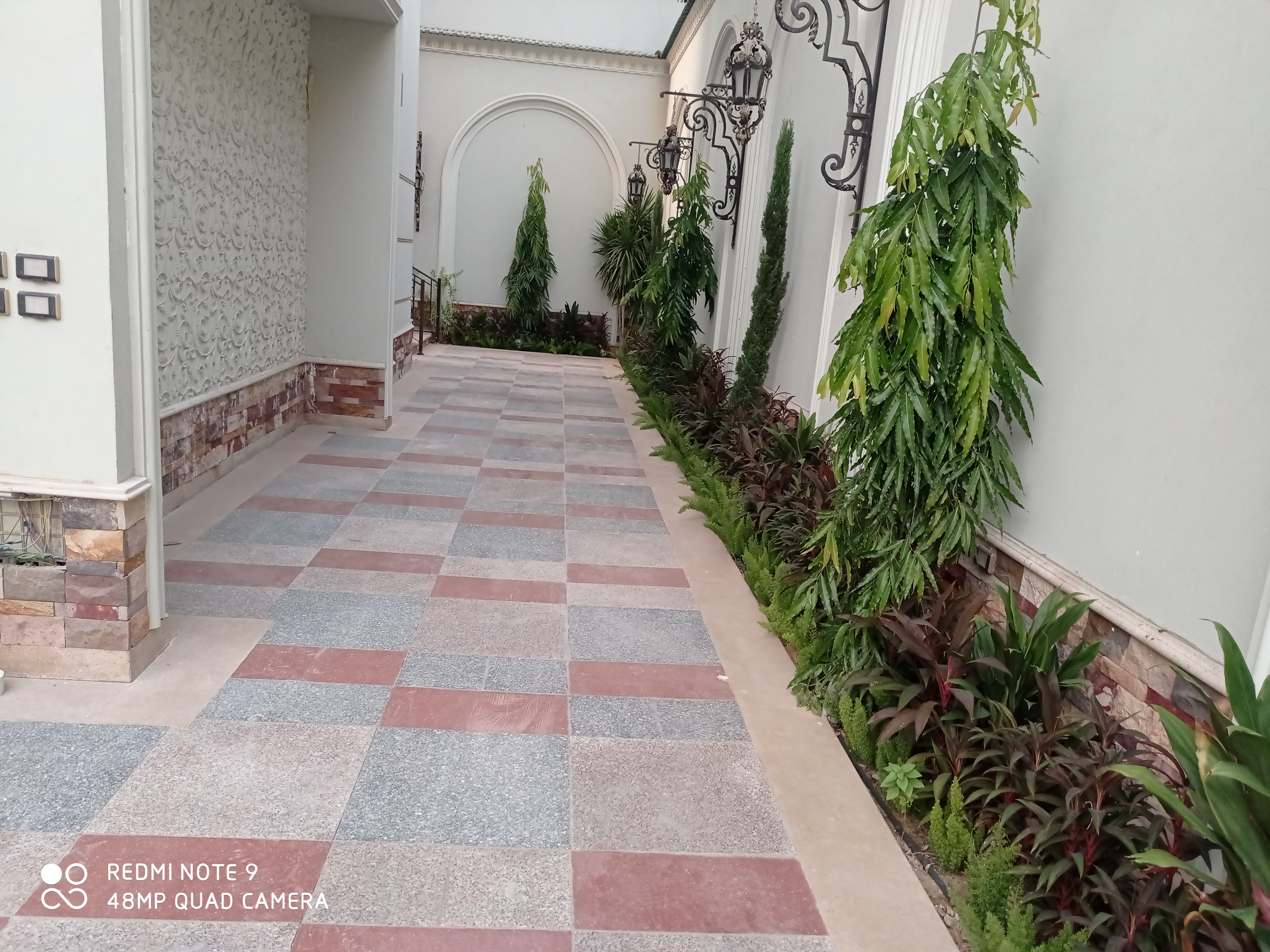 بعد الزراعة 2