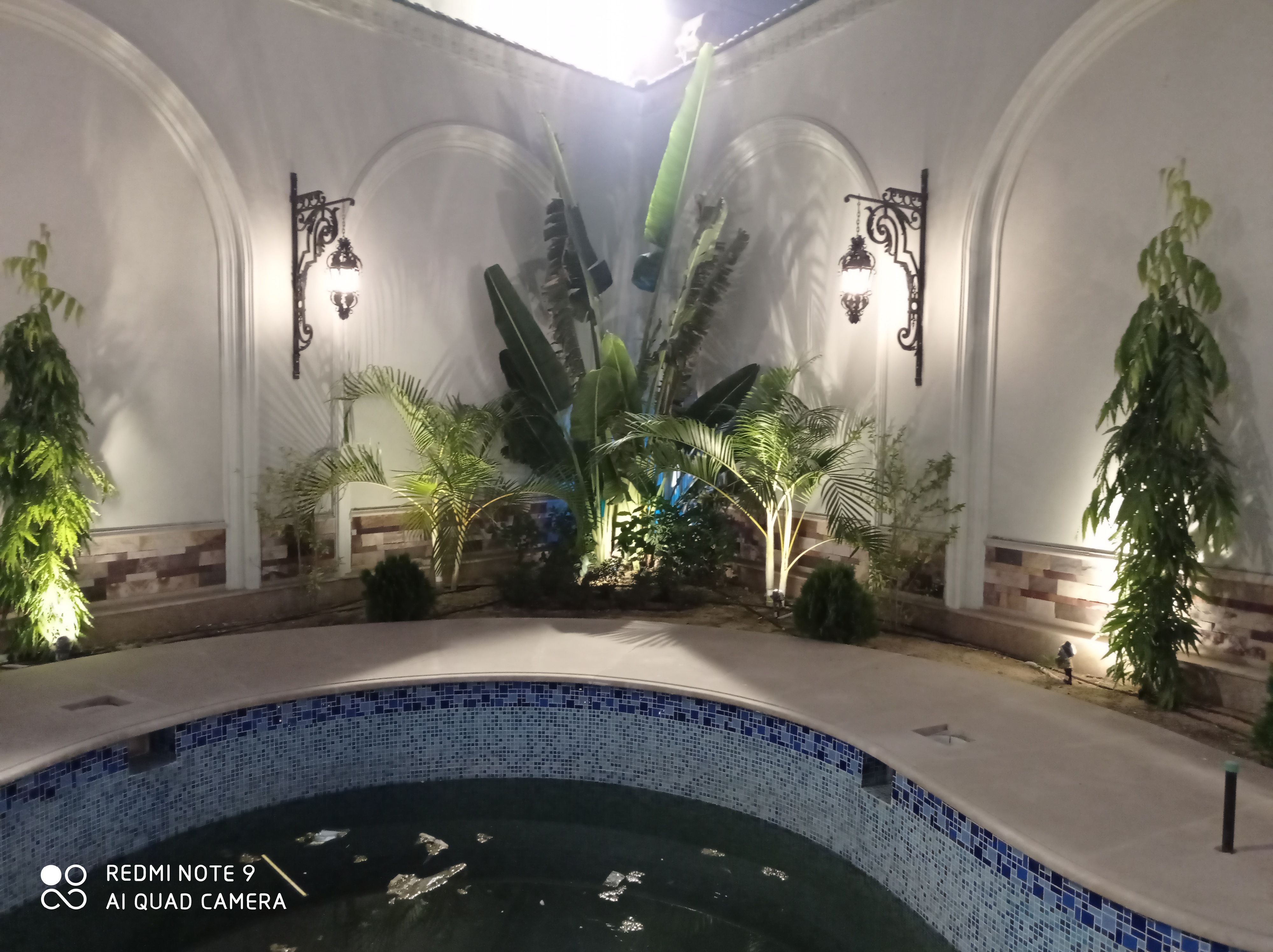 بعد الزراعة 3