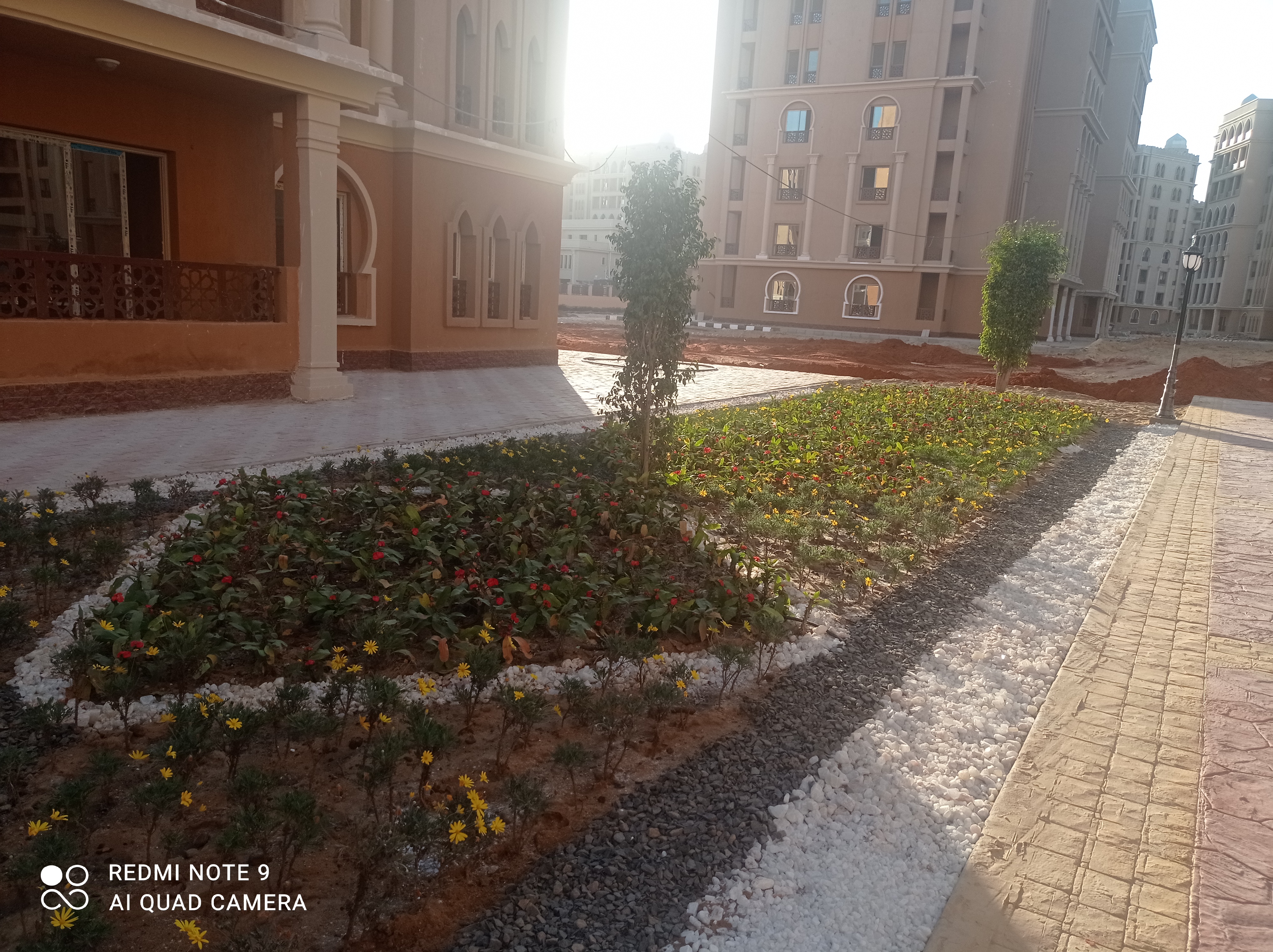 أعمال الزراعات وشبكات الري بحي ال R6 بالعاصمة الإدارية الجديدة