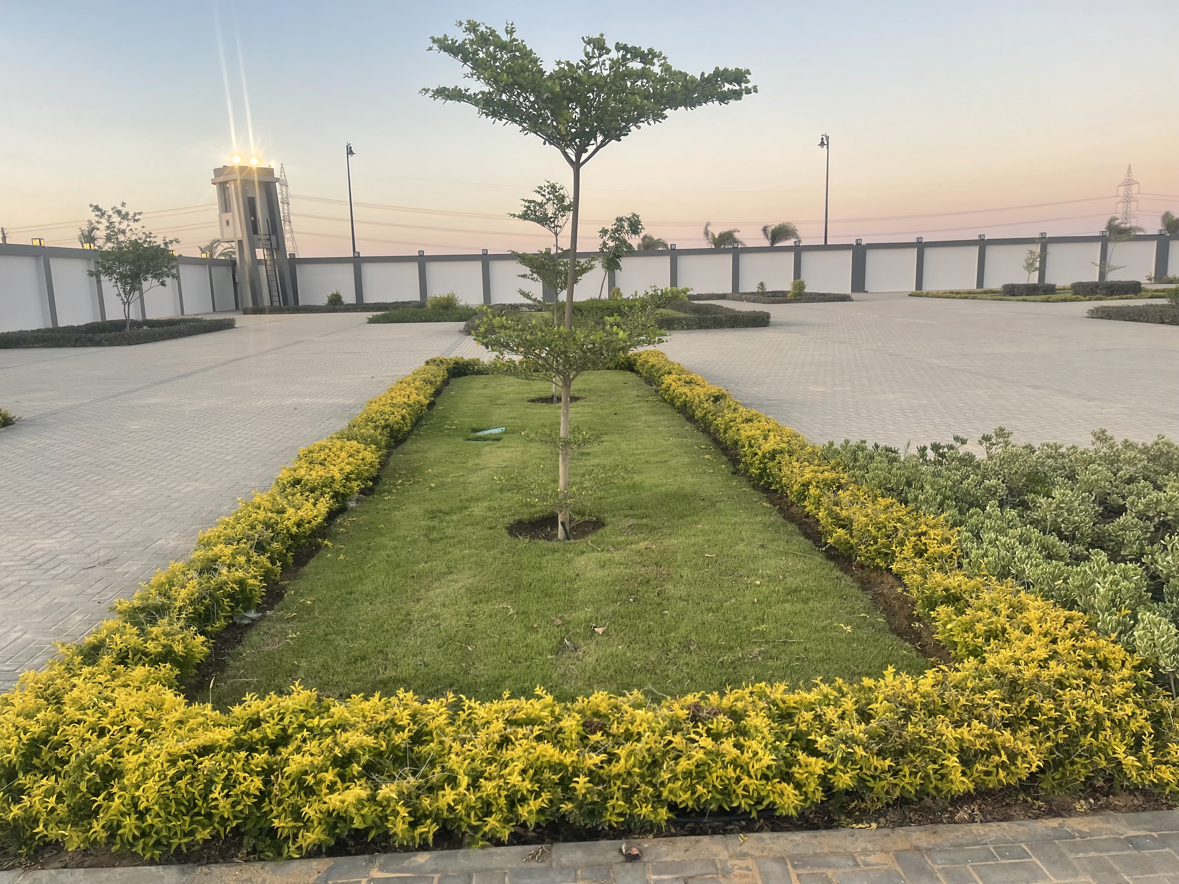 أعمال الزراعات وشبكات الري بمحطة تحلية مياه العريش