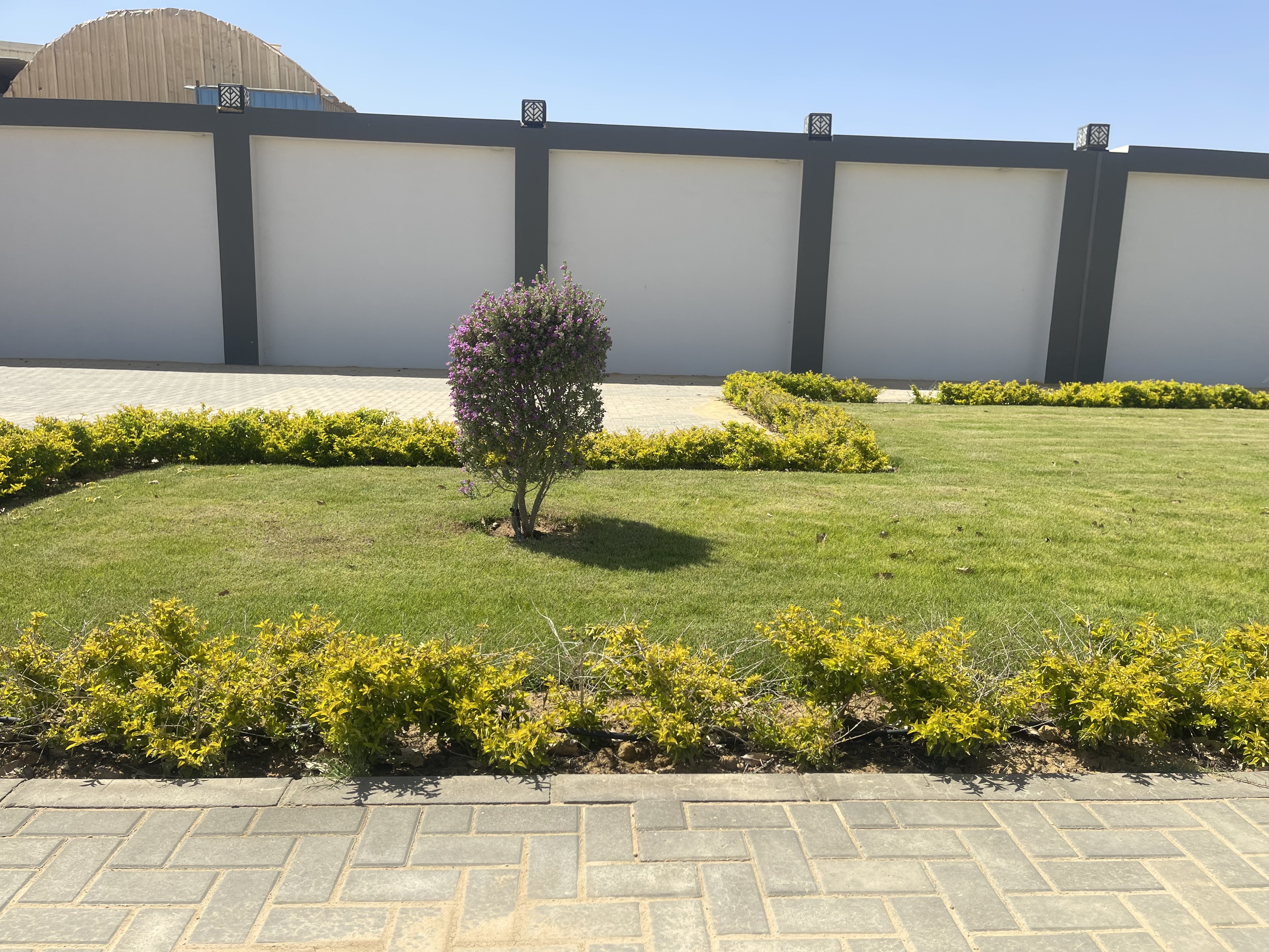 مشروع محطة كهرباء غياضة بمحافظة بني سويف