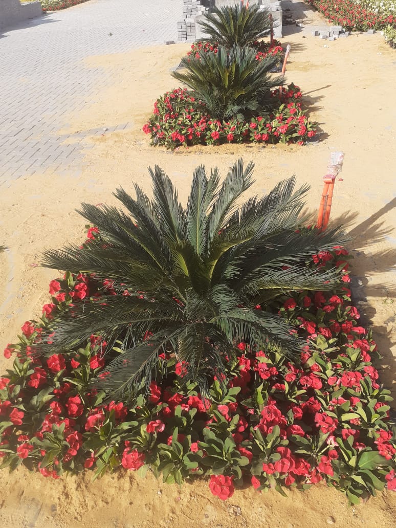 أعمال الزراعات