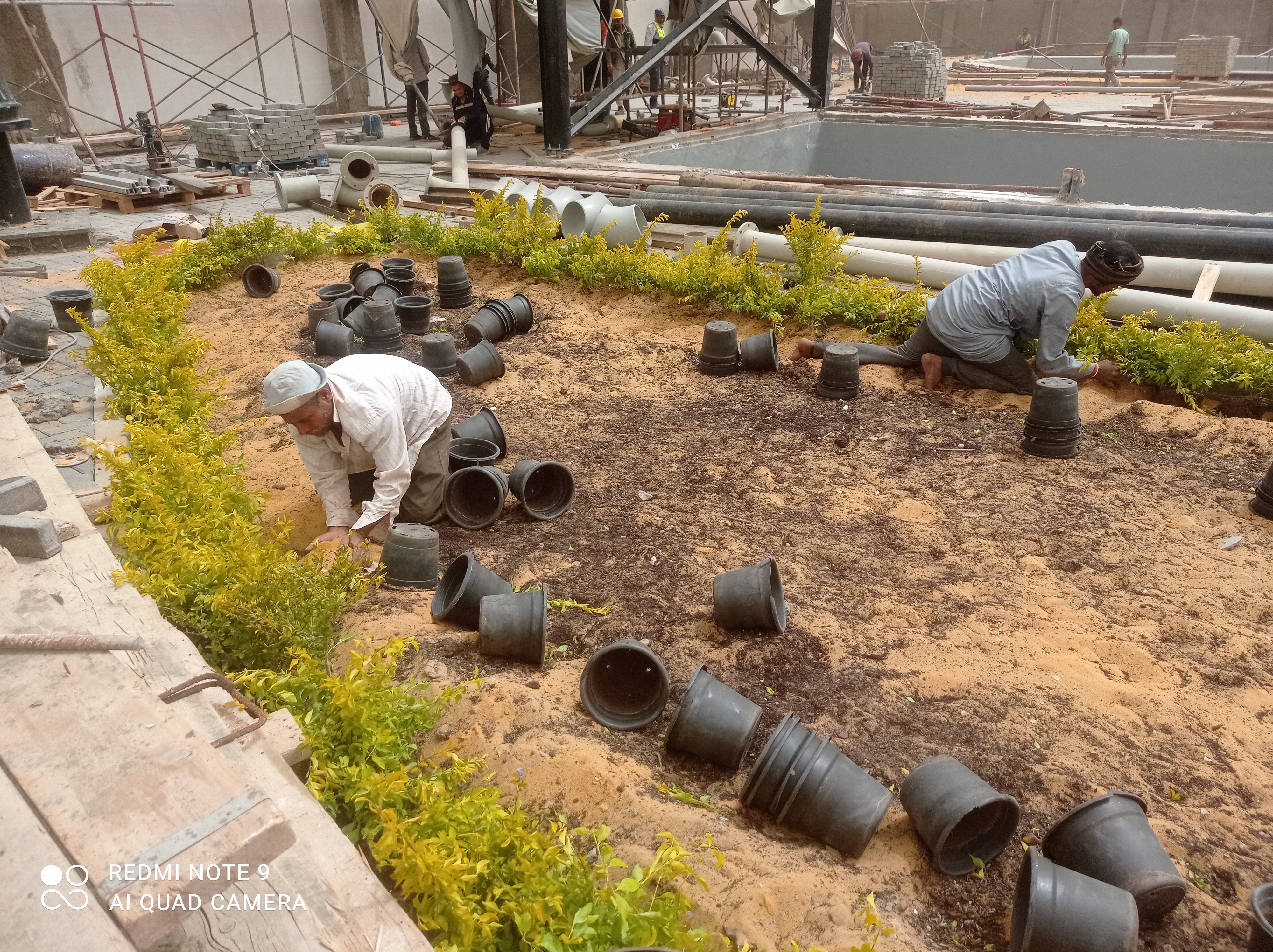 أعمال الزراعات