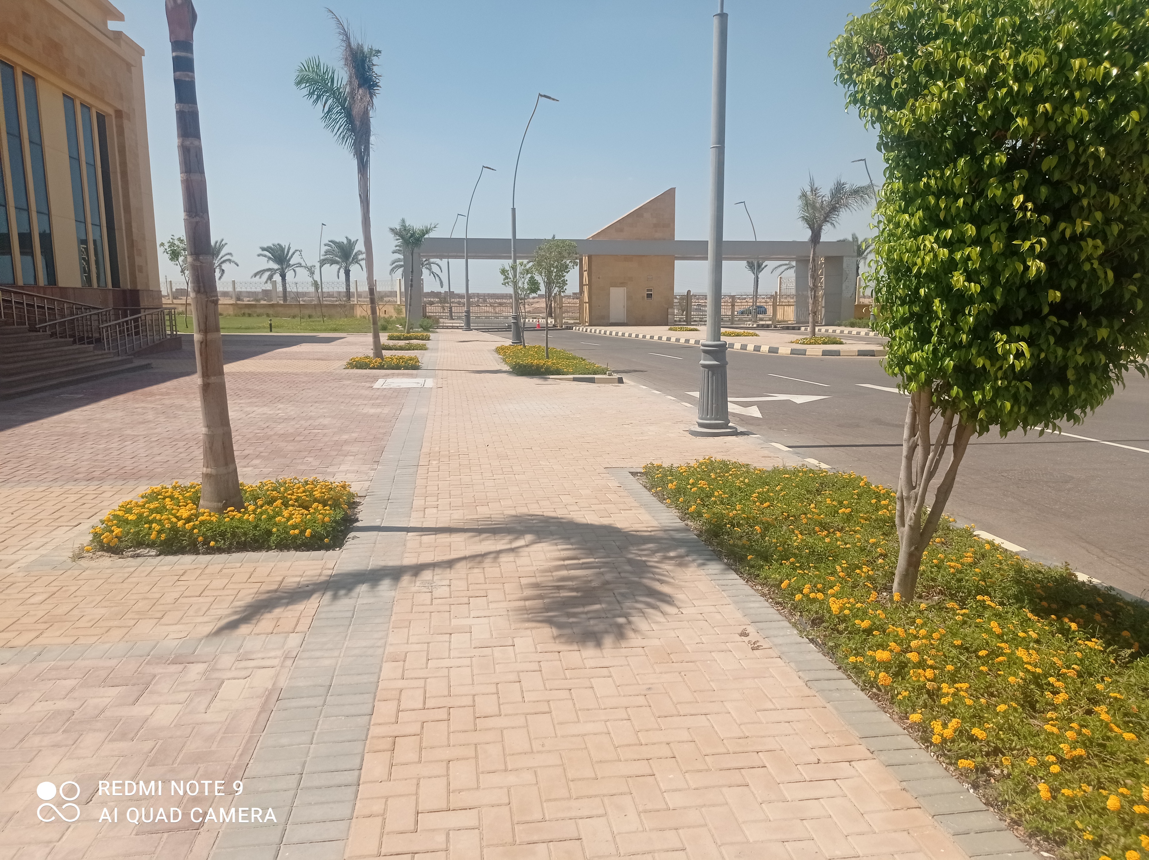 أعمال صيانة الزراعات