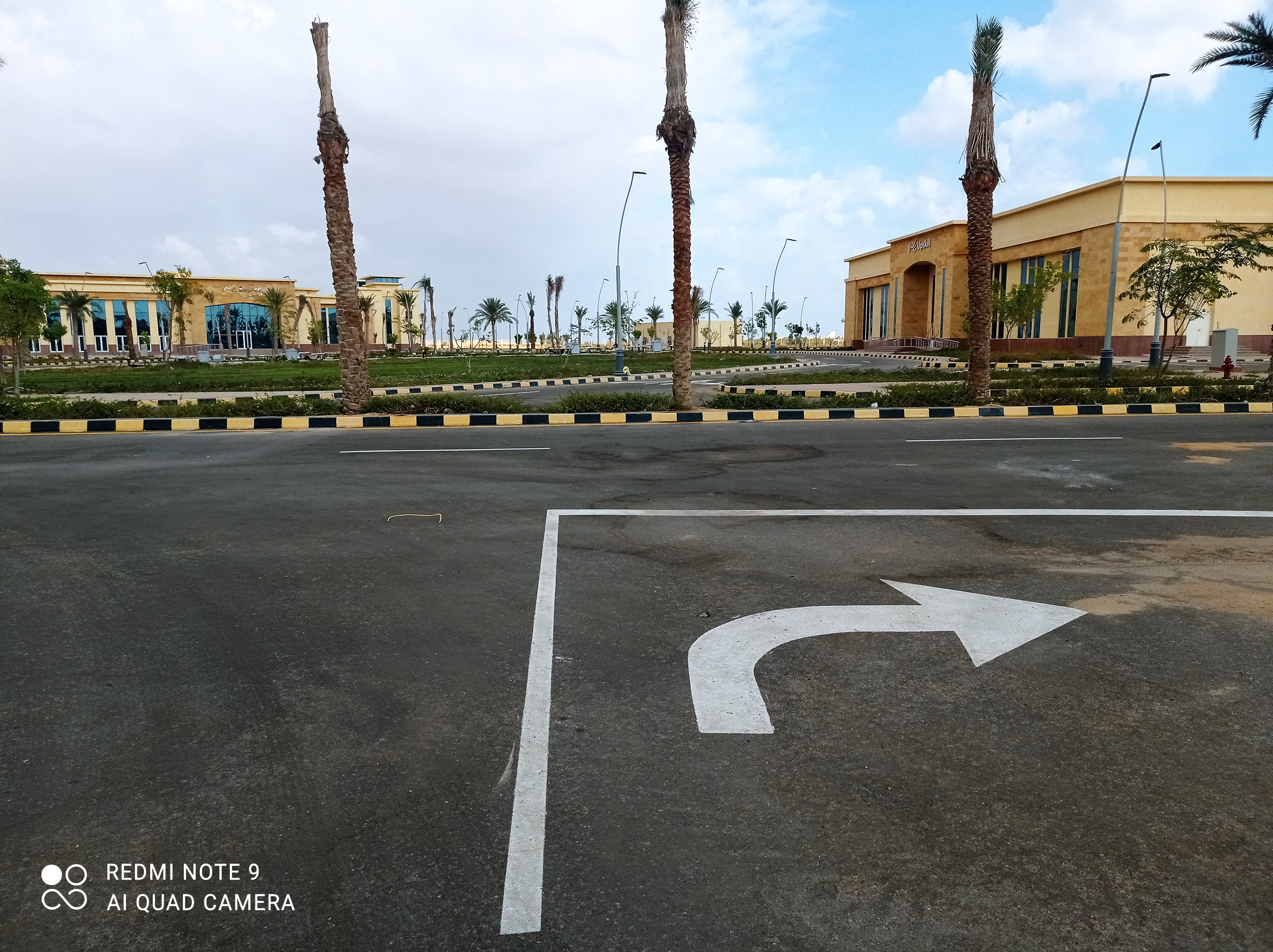 أعمال صيانة الزراعات