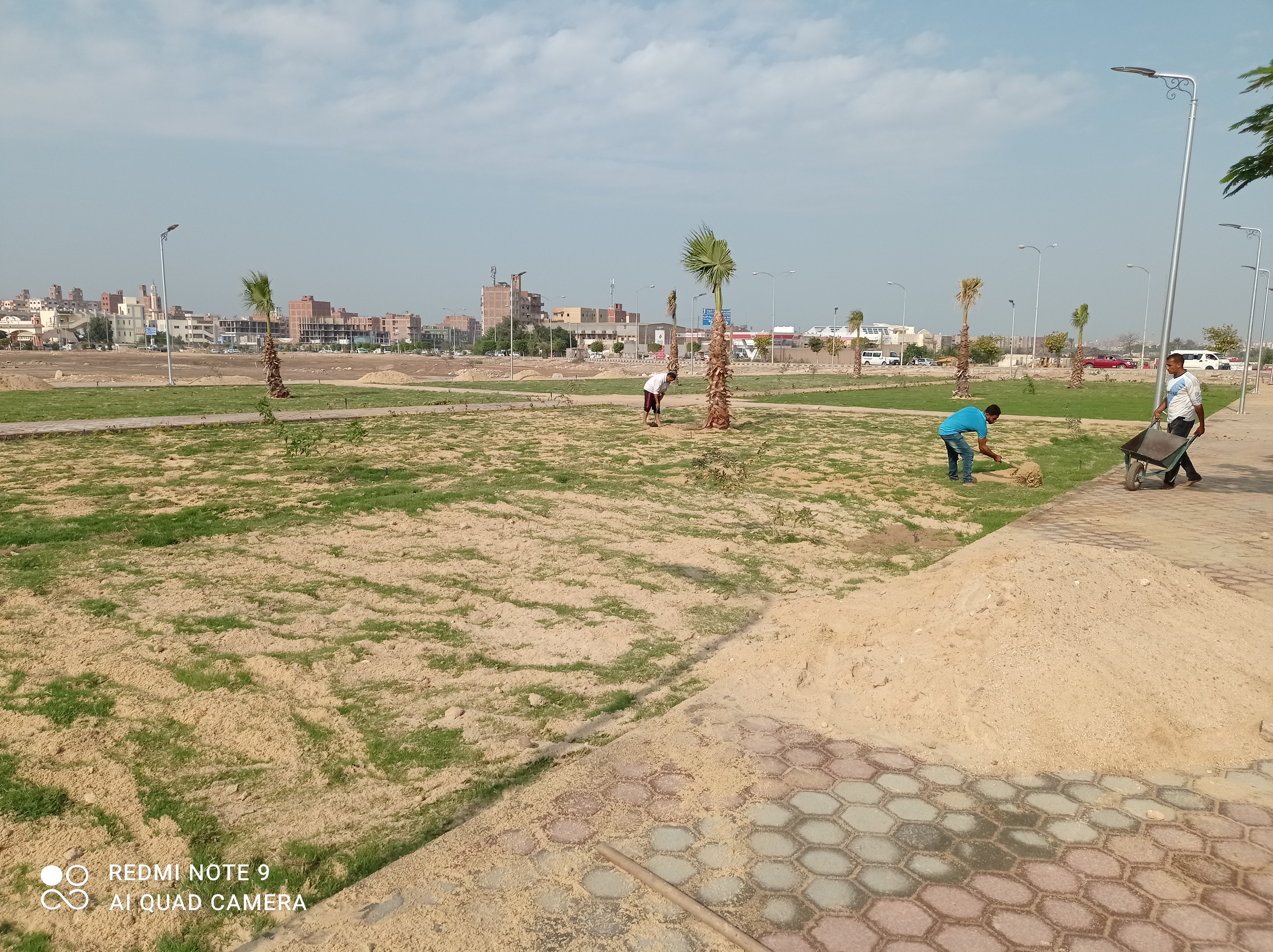 أعمال الزراعات