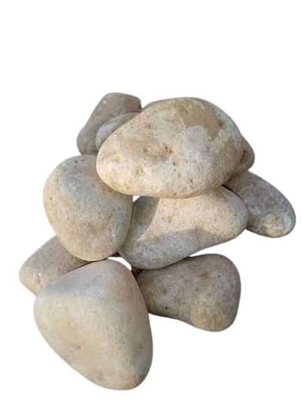 زلط بيض نعام بمتوسط حجم كف اليد