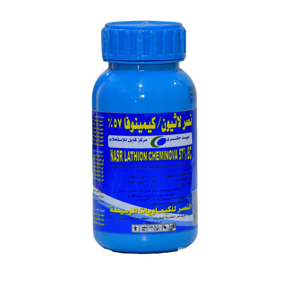 نصر لاثيون/ كيمينوفا  57%