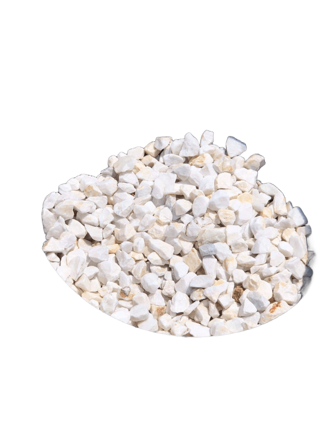 عبوة سن أبيض متوسط الوزن  25 كجم