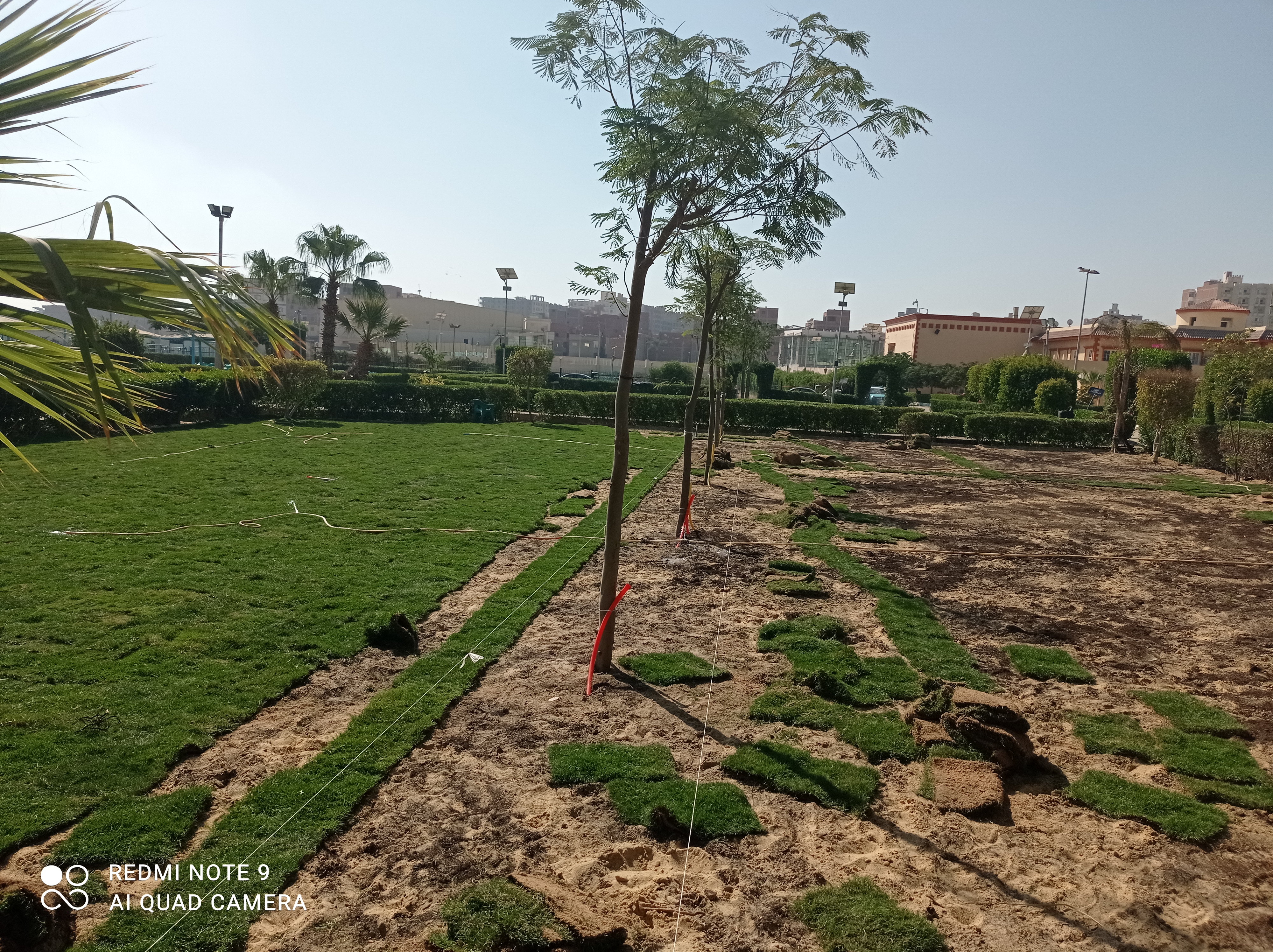 أعمال الزراعات