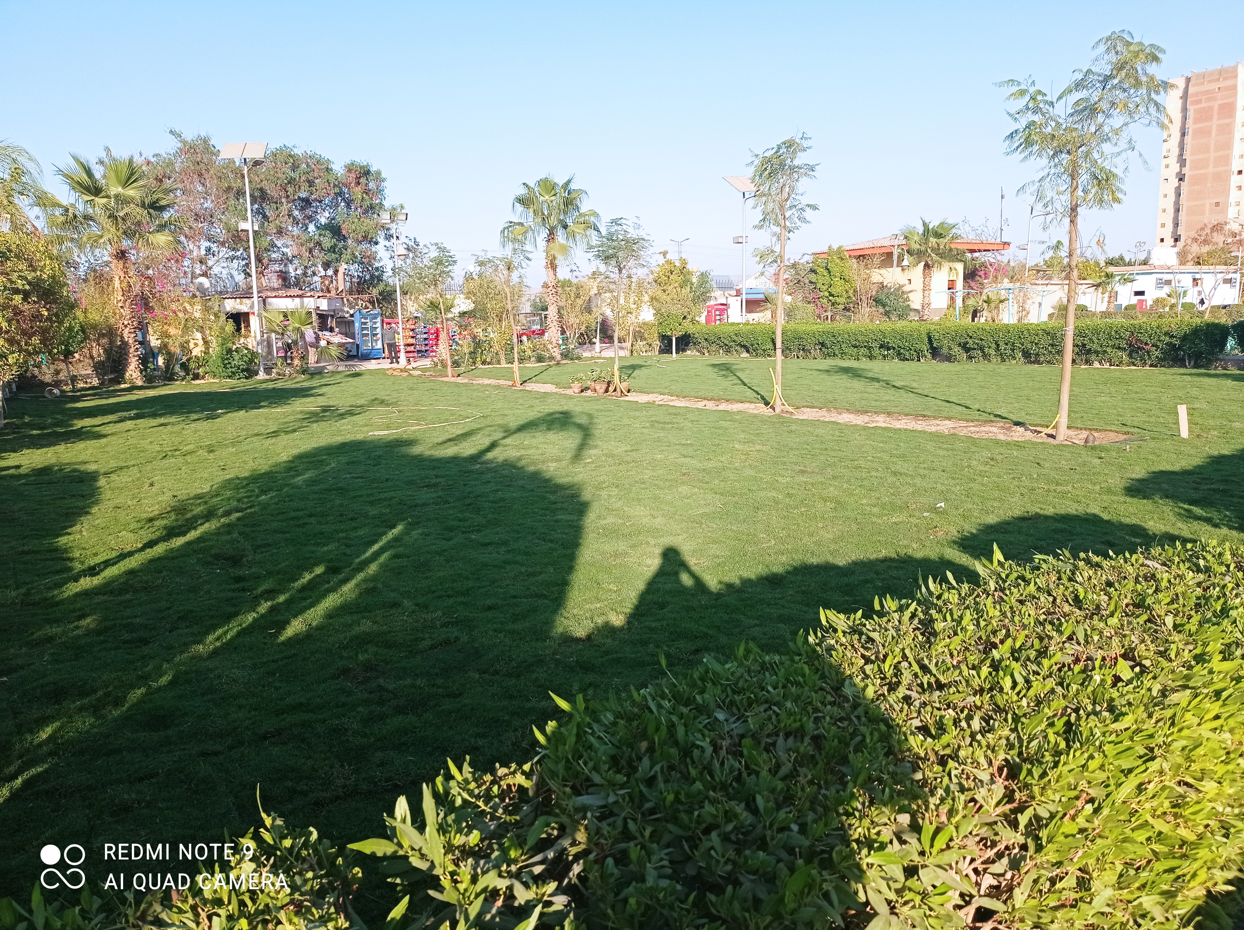 أعمال الزراعات