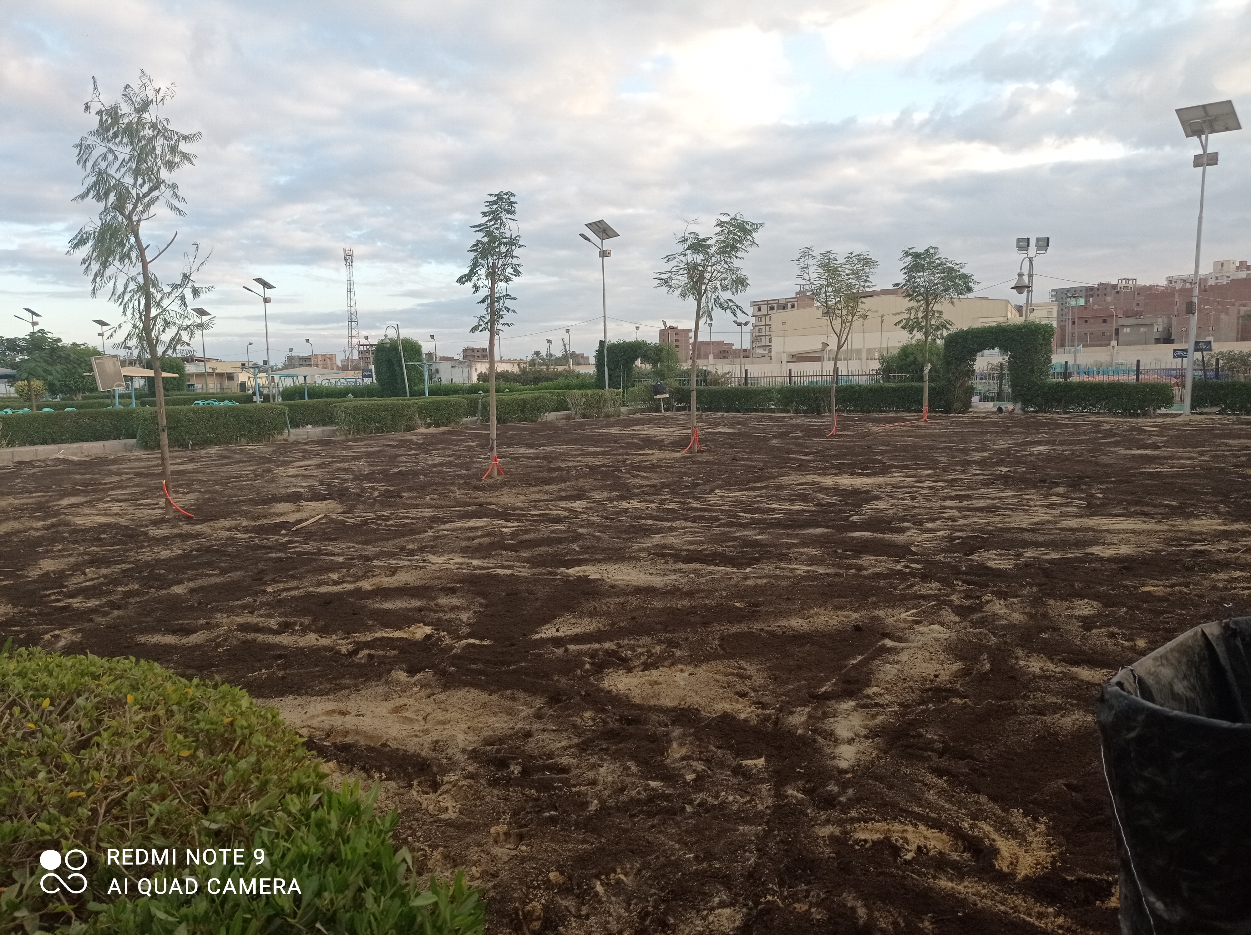 أعمال الزراعات