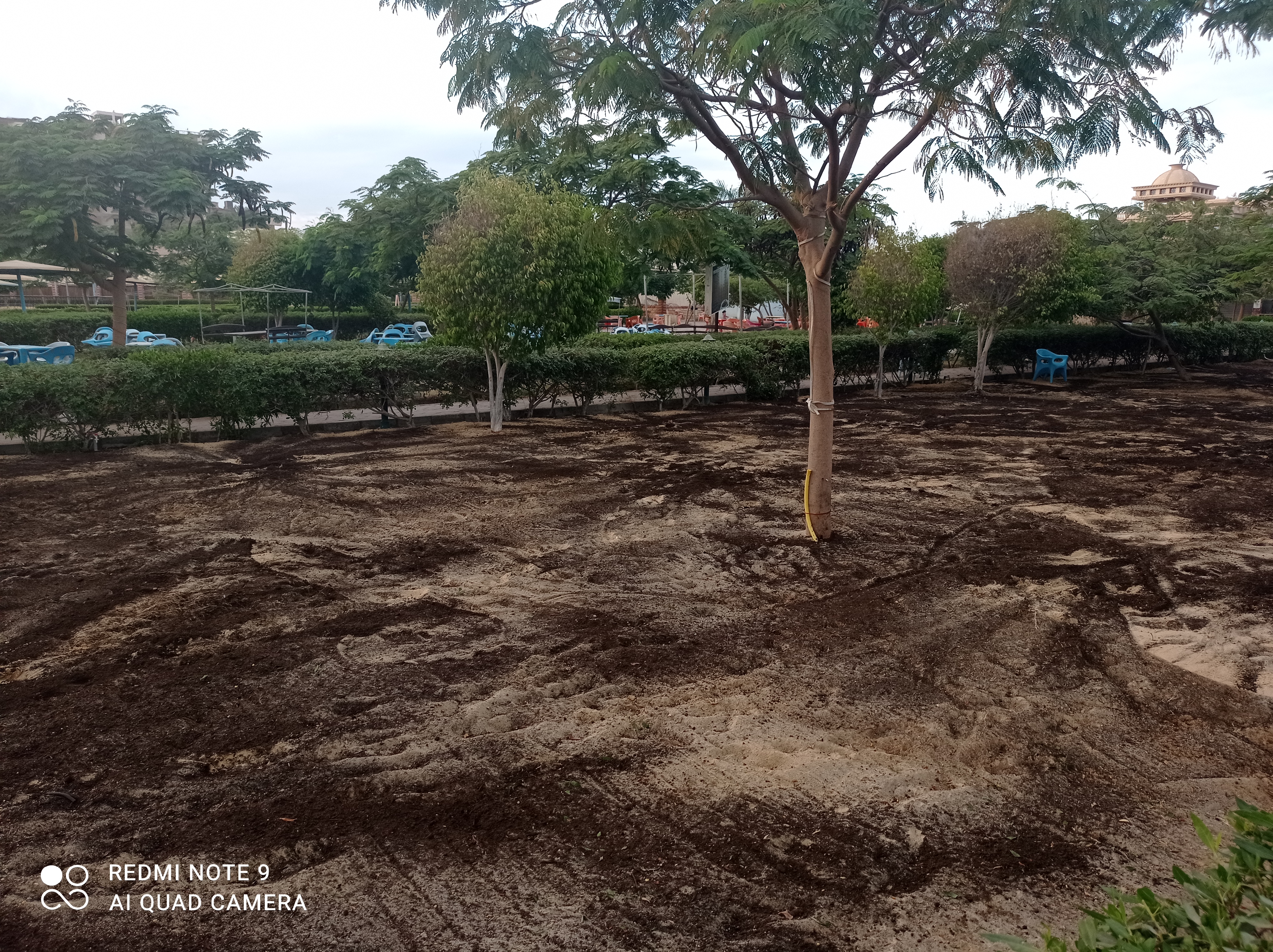 أعمال الزراعات