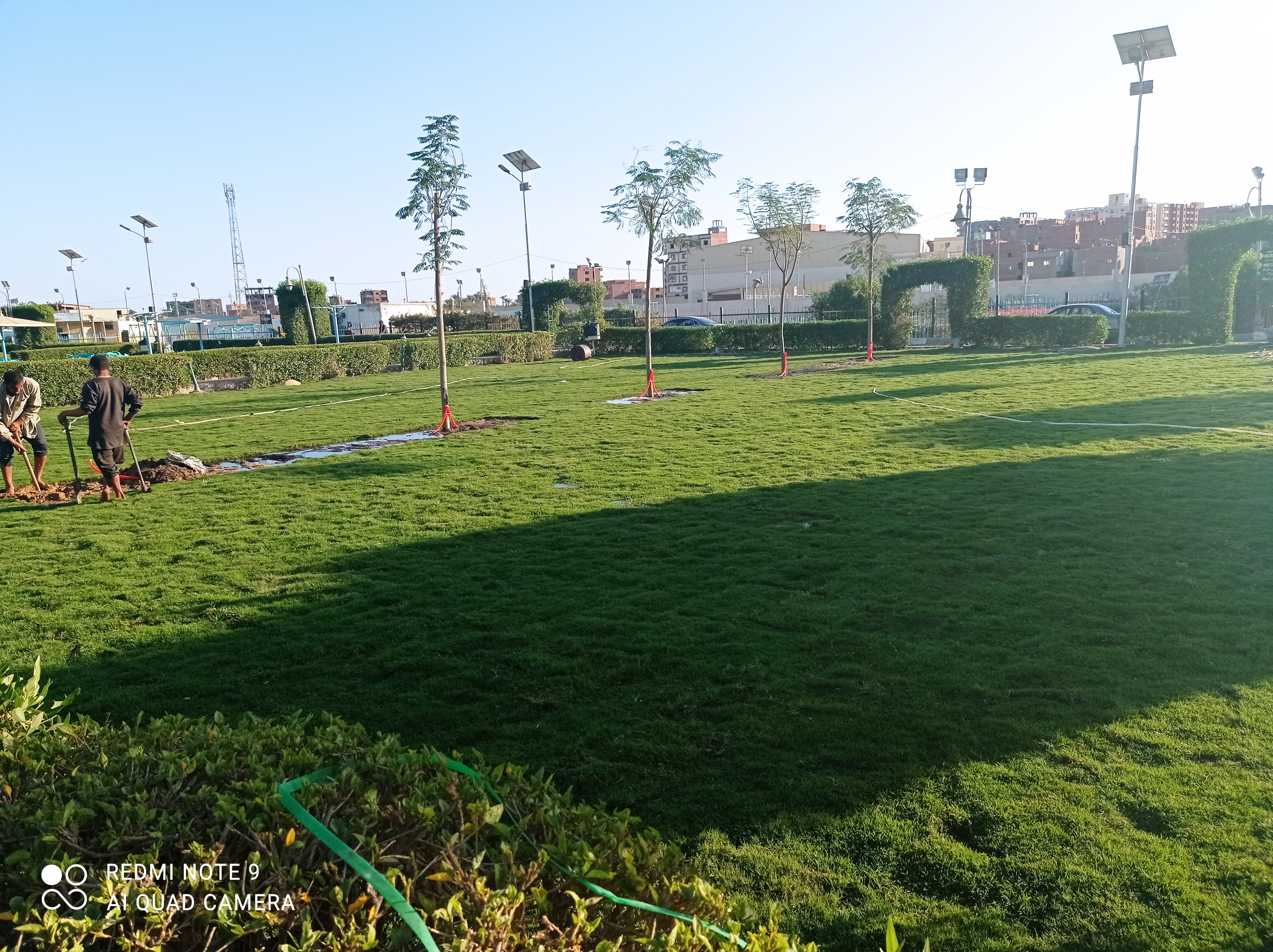 أعمال الزراعات