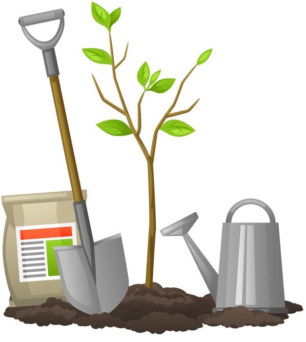 plant-mix أوساط زراعة