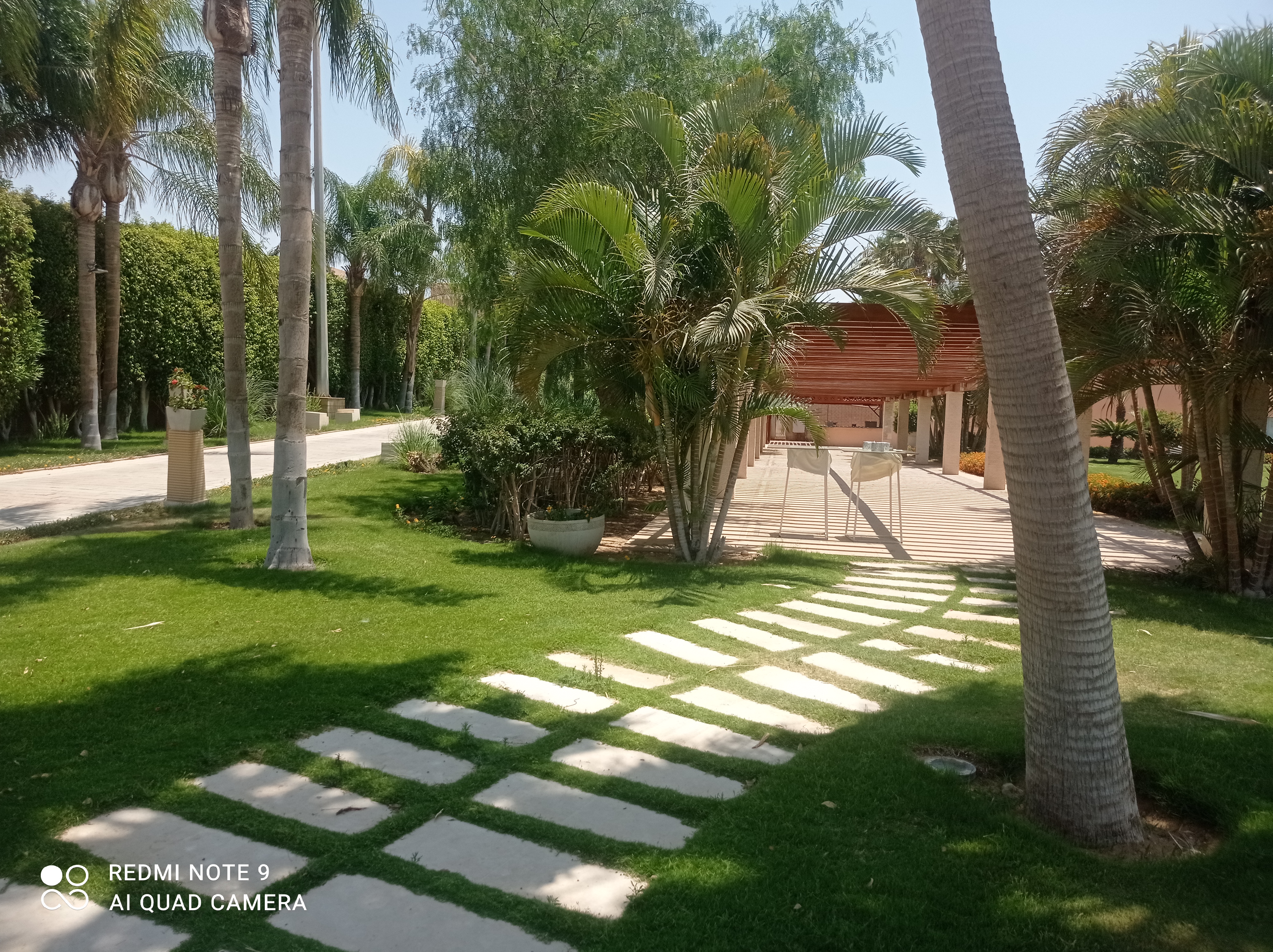 أعمال صيانة المسطحات الخضراء وشبكات الري بمنتجع سكاي التجمع الخامس