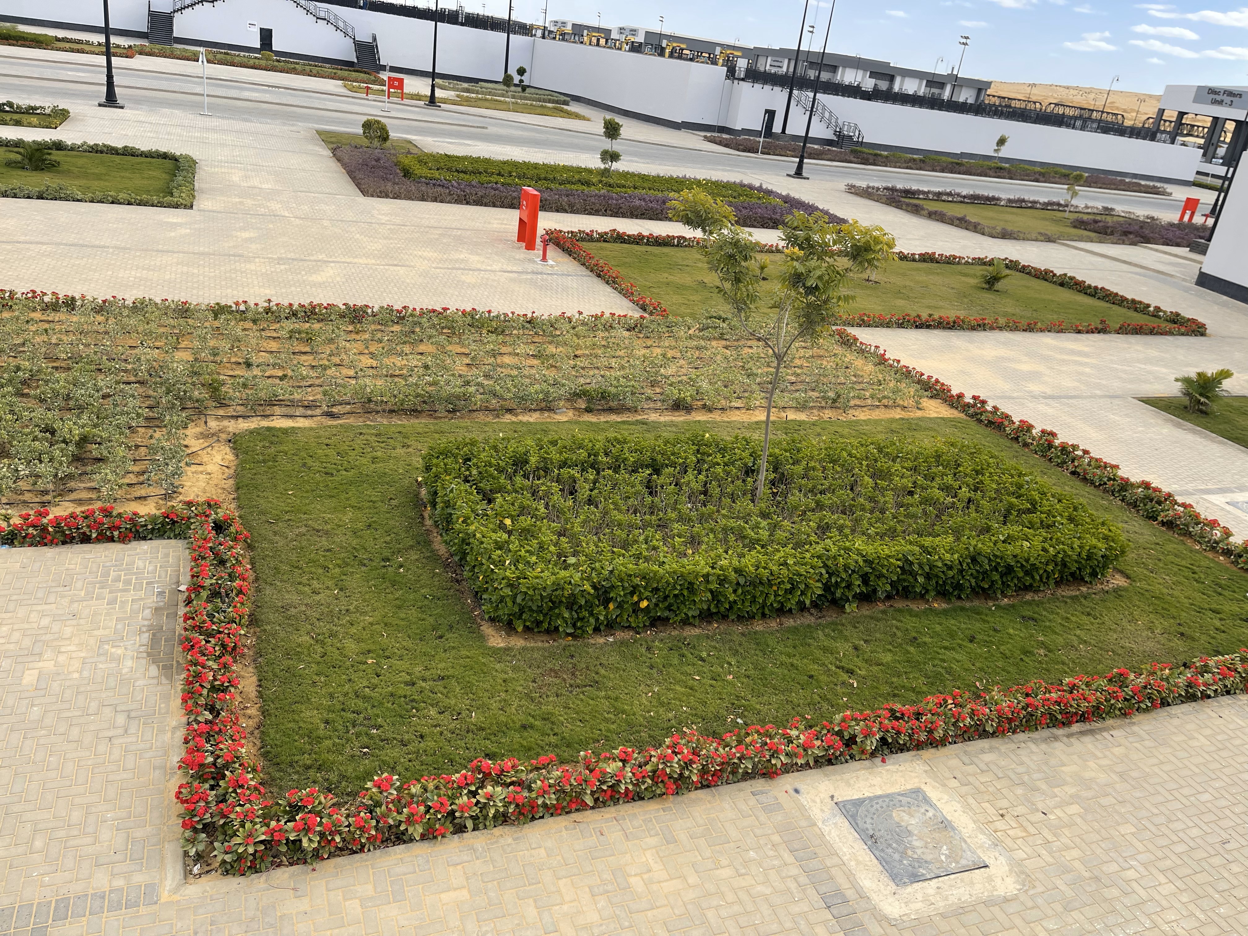 بلانت ميكس1