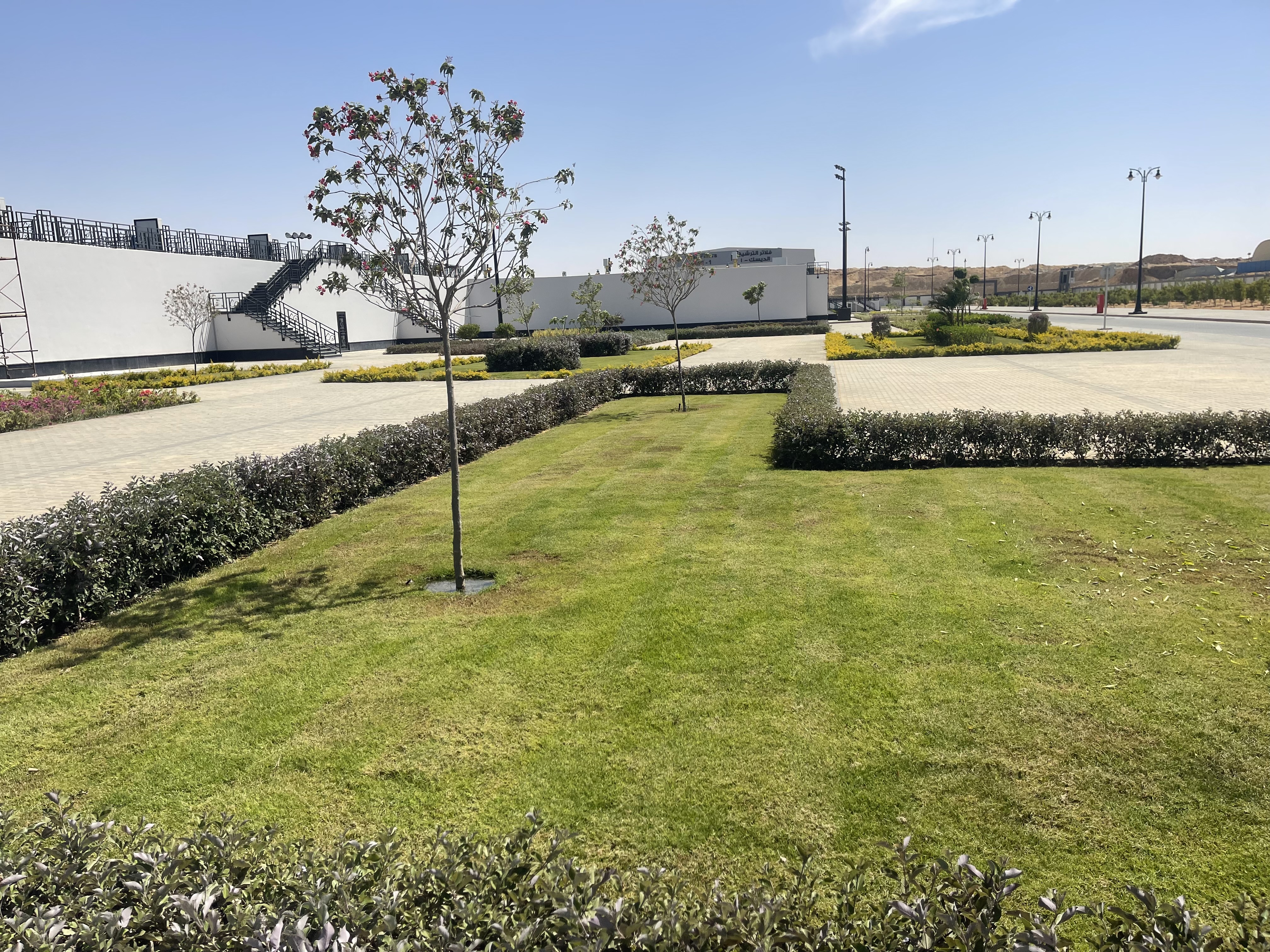 بلانت ميكس1