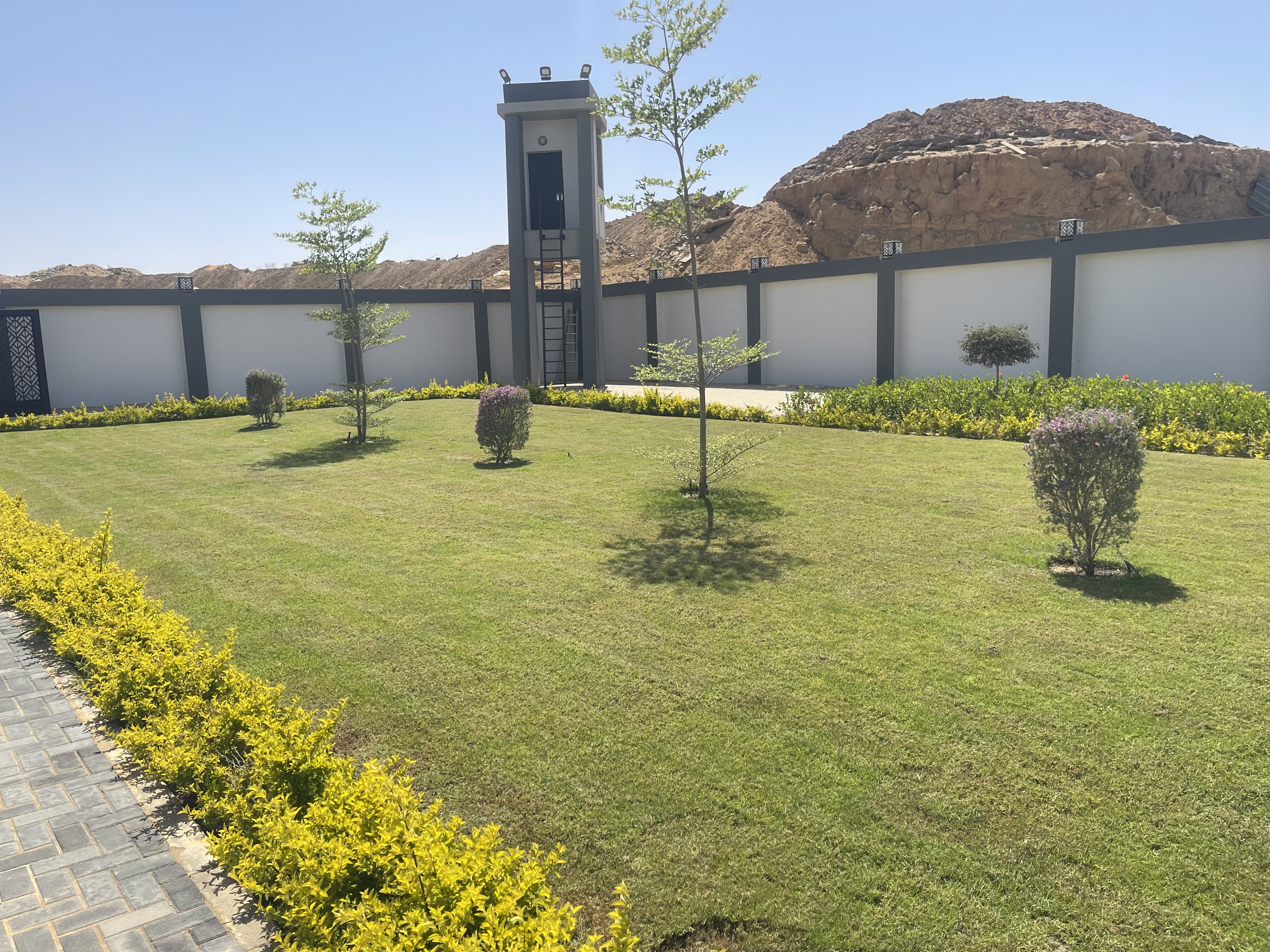 بلانت ميكس1