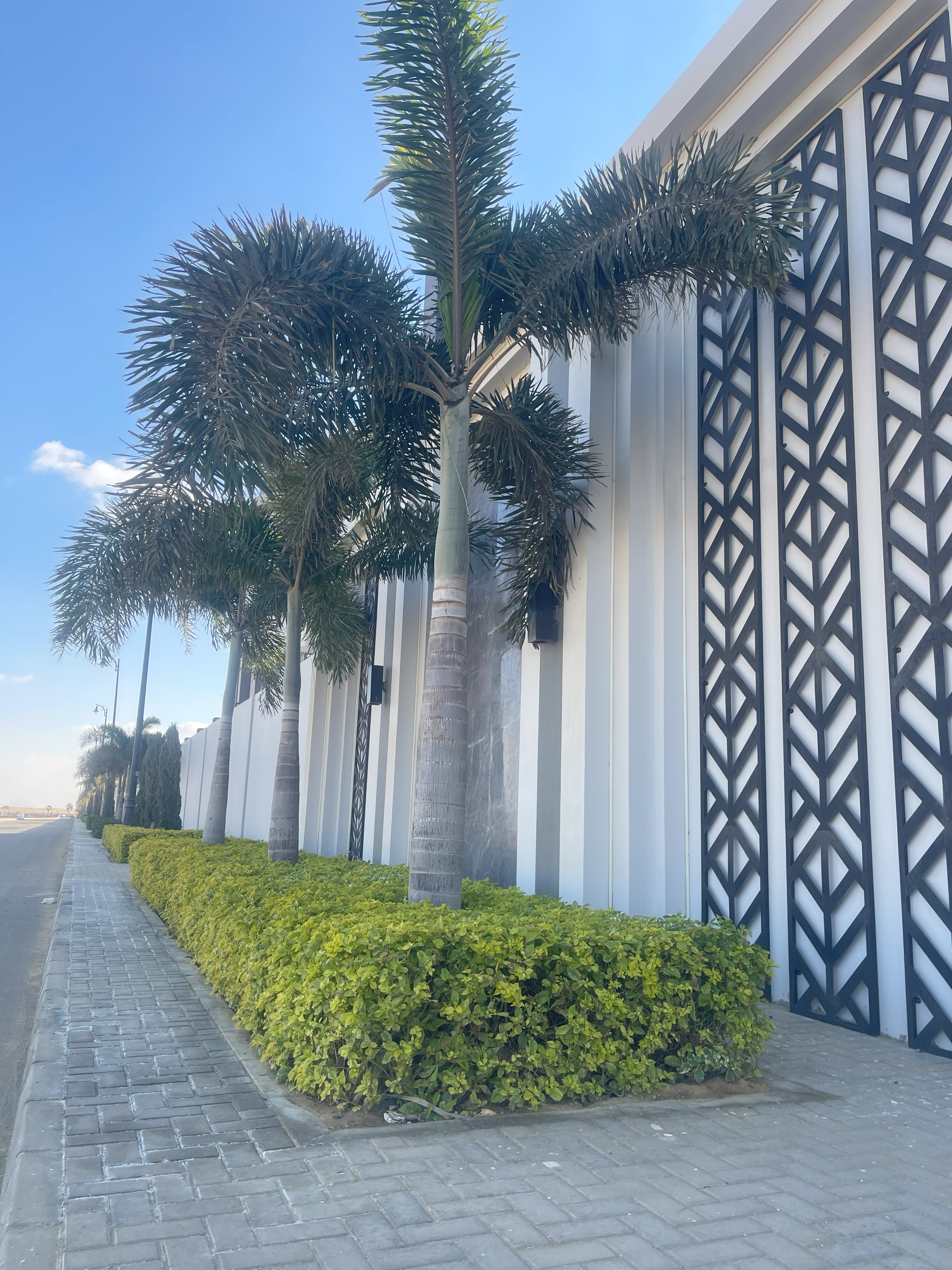 بلانت ميكس1