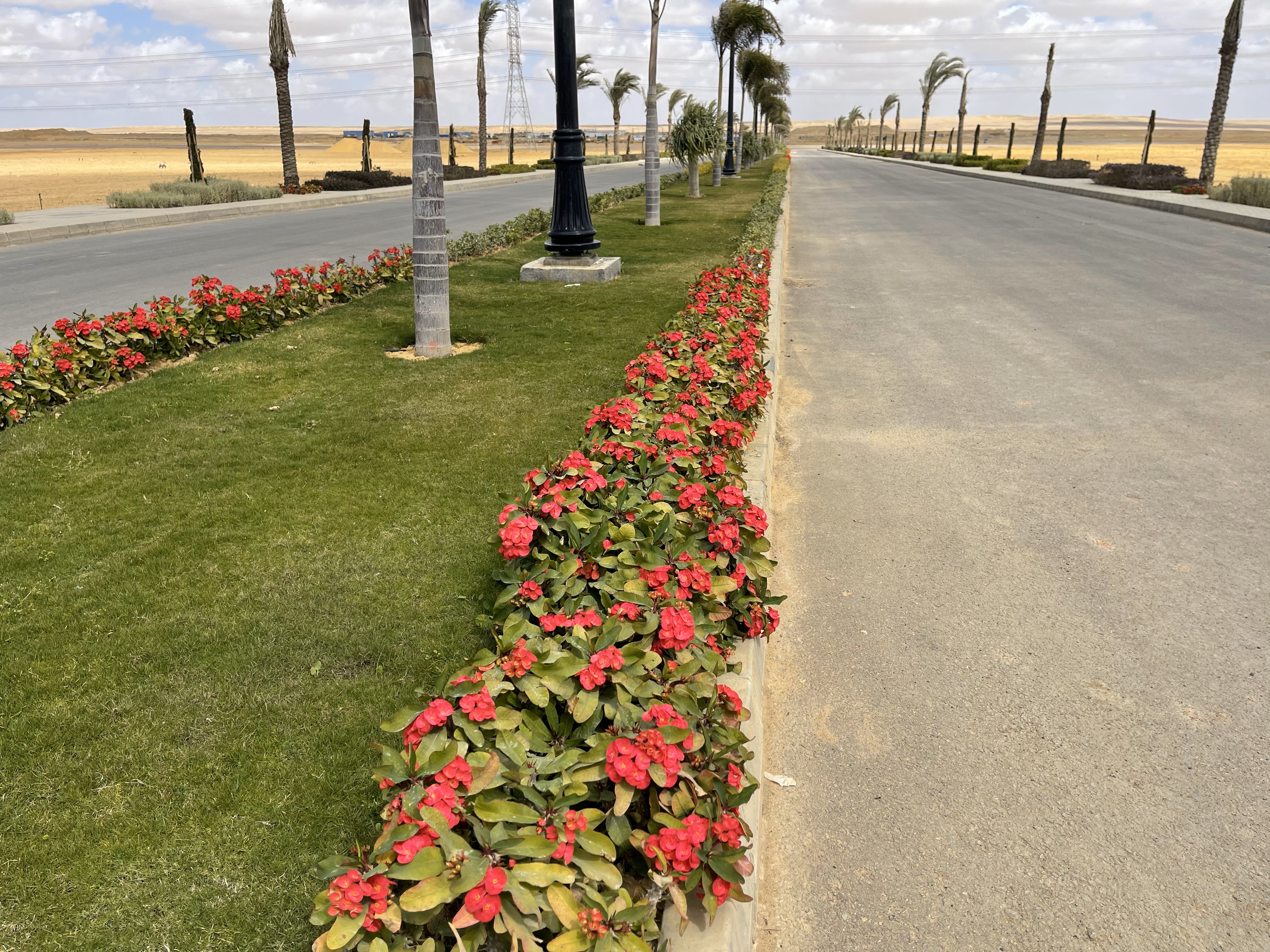 بلانت ميكس1