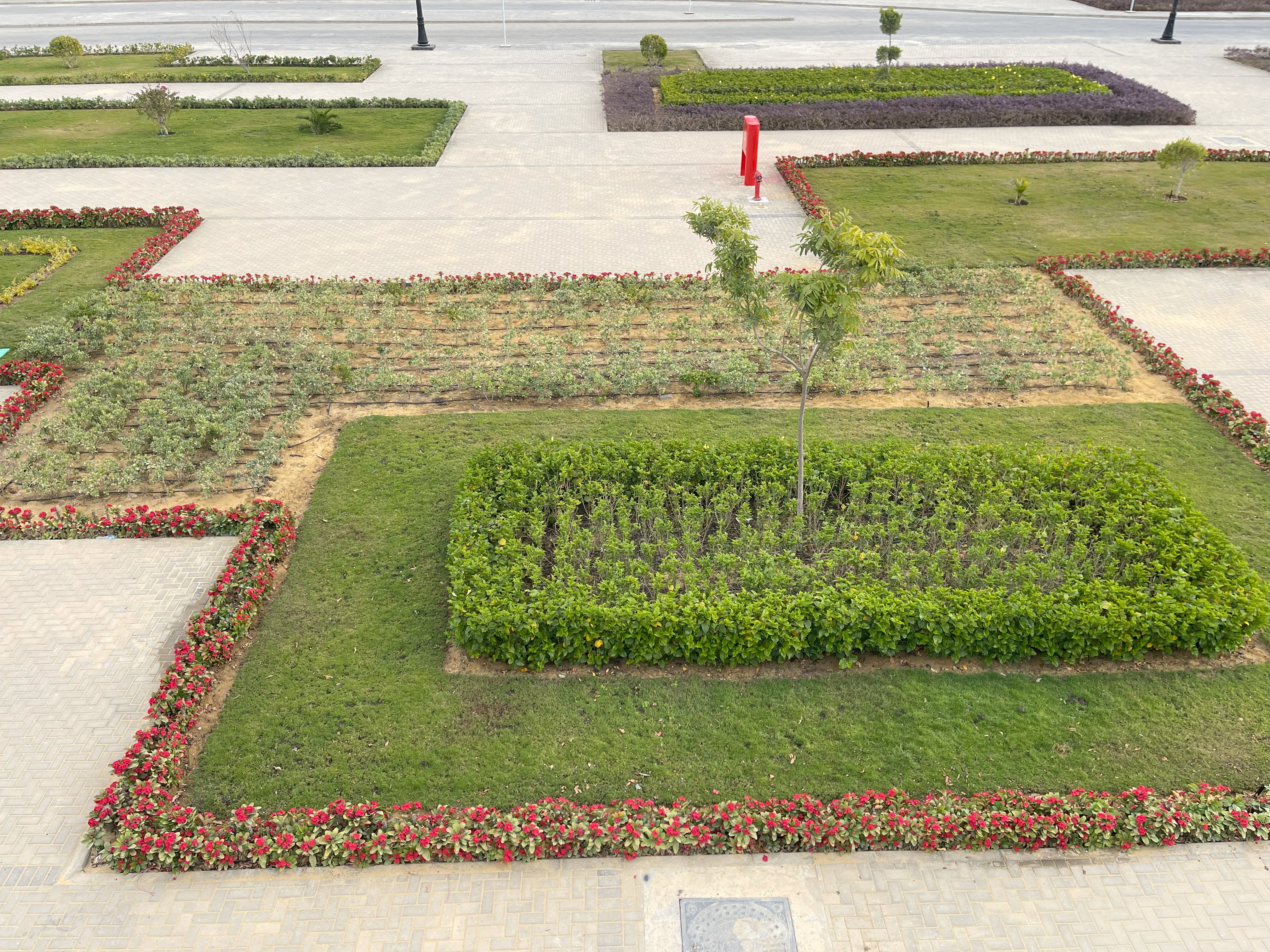 بلانت ميكس1