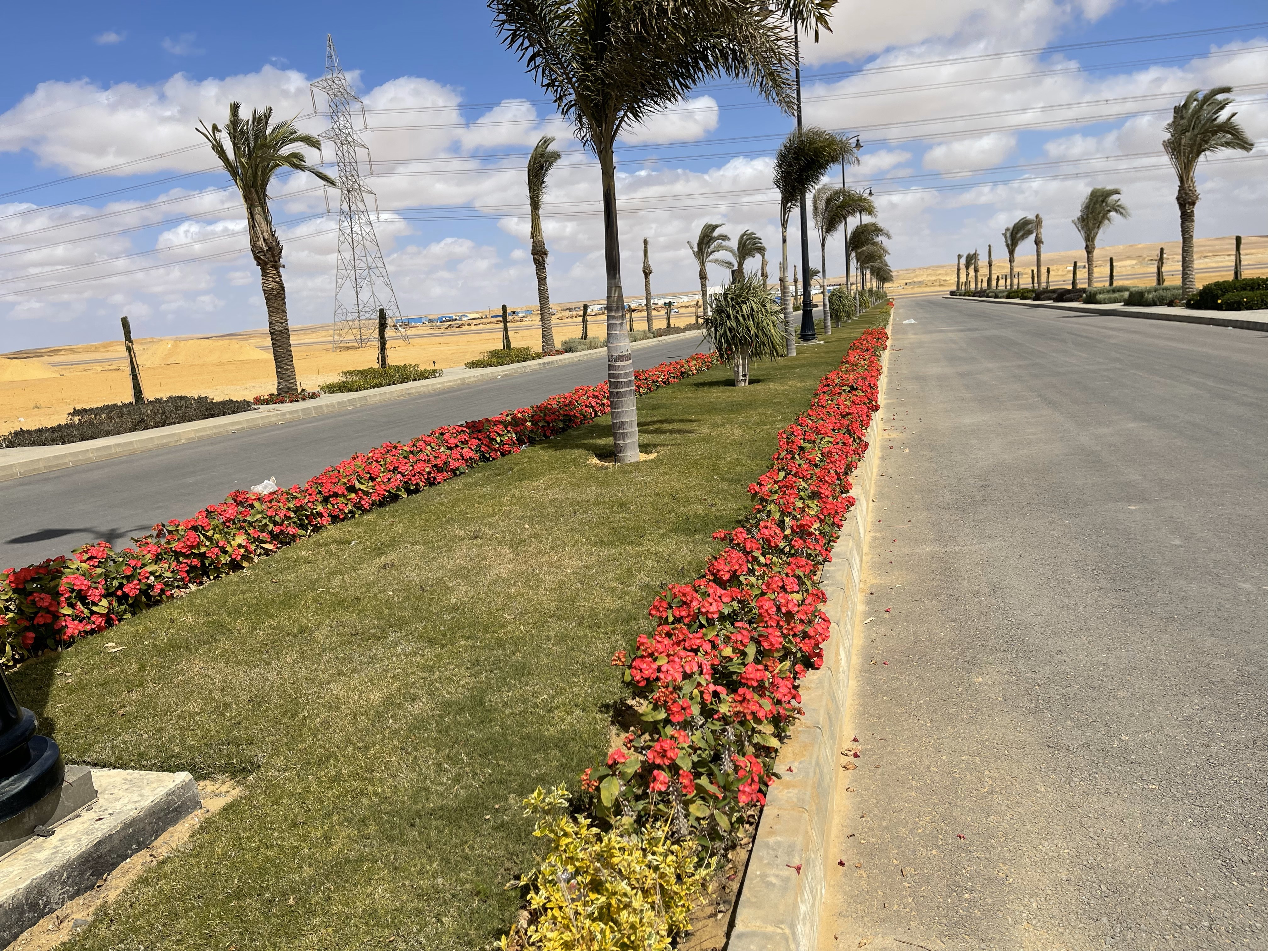 بلانت ميكس1