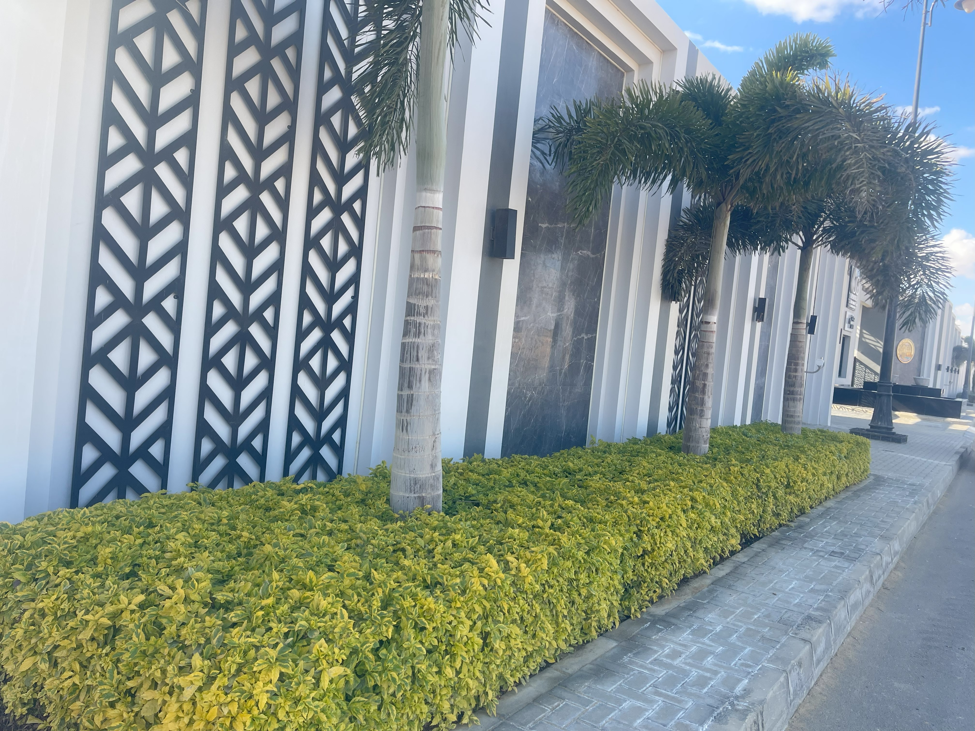 بلانت ميكس1