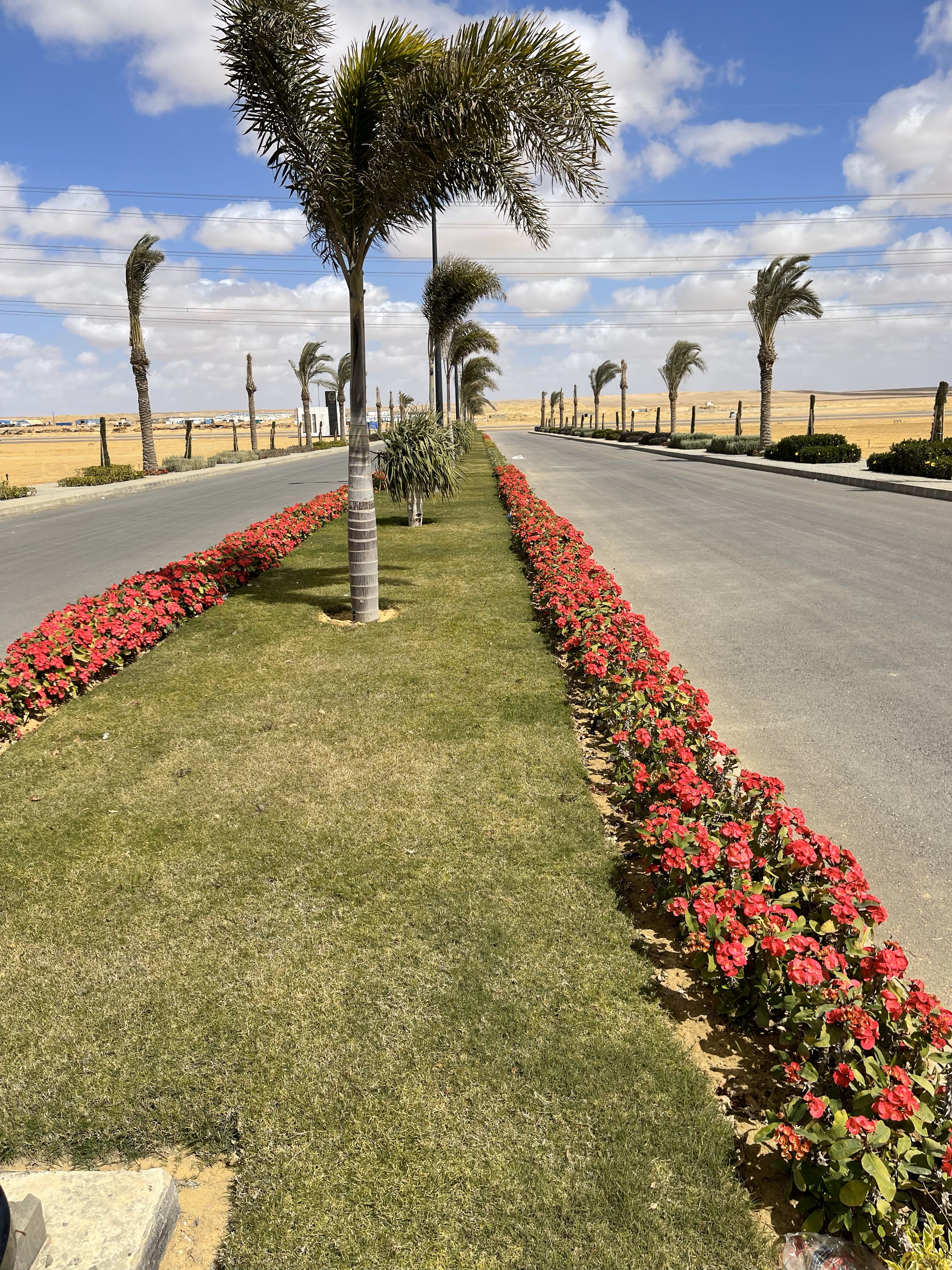 بلانت ميكس1