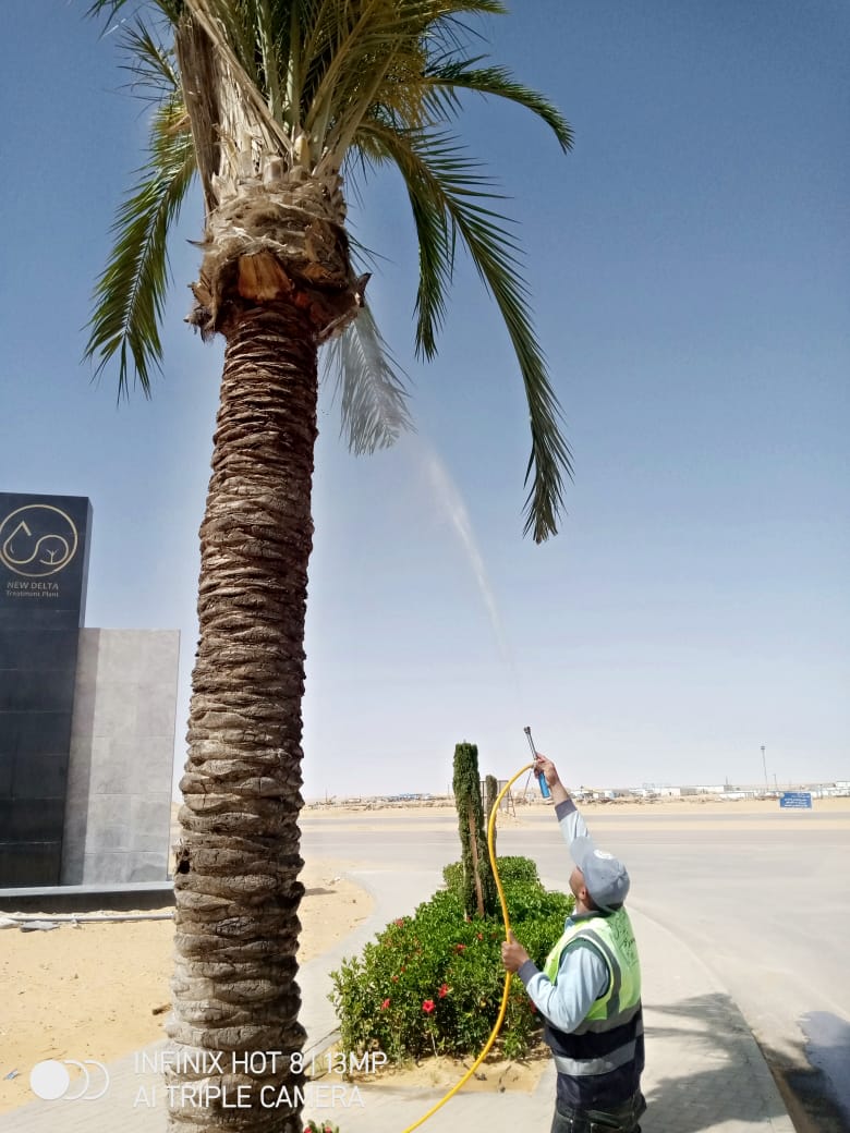 بلانت ميكس1