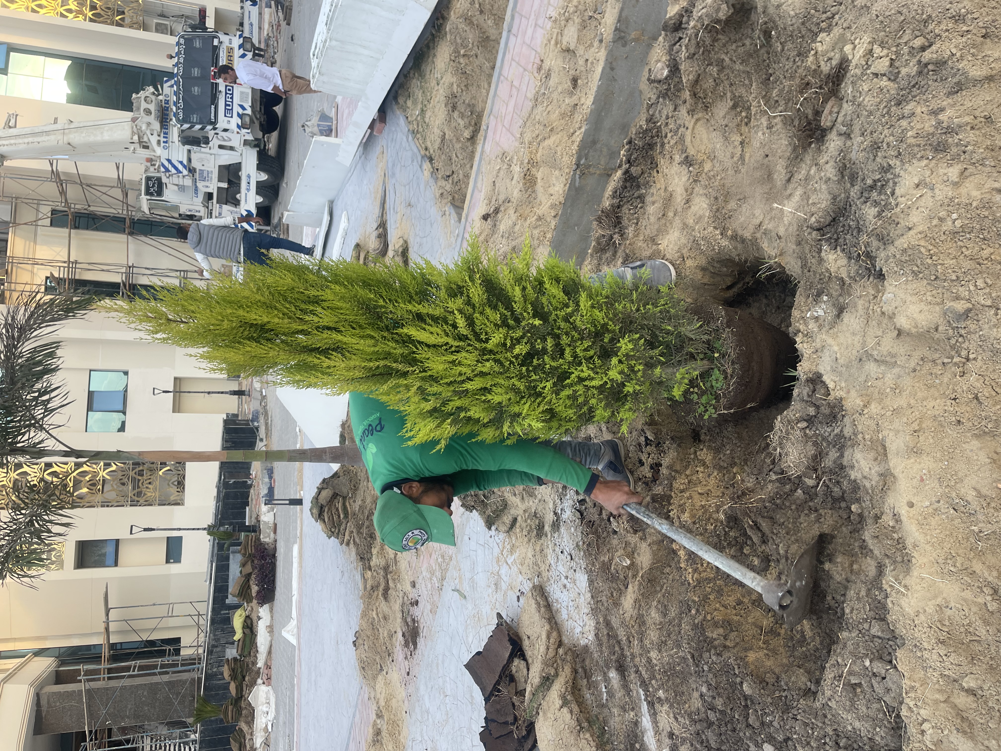 بلانت ميكس مديرية أمن الفيوم