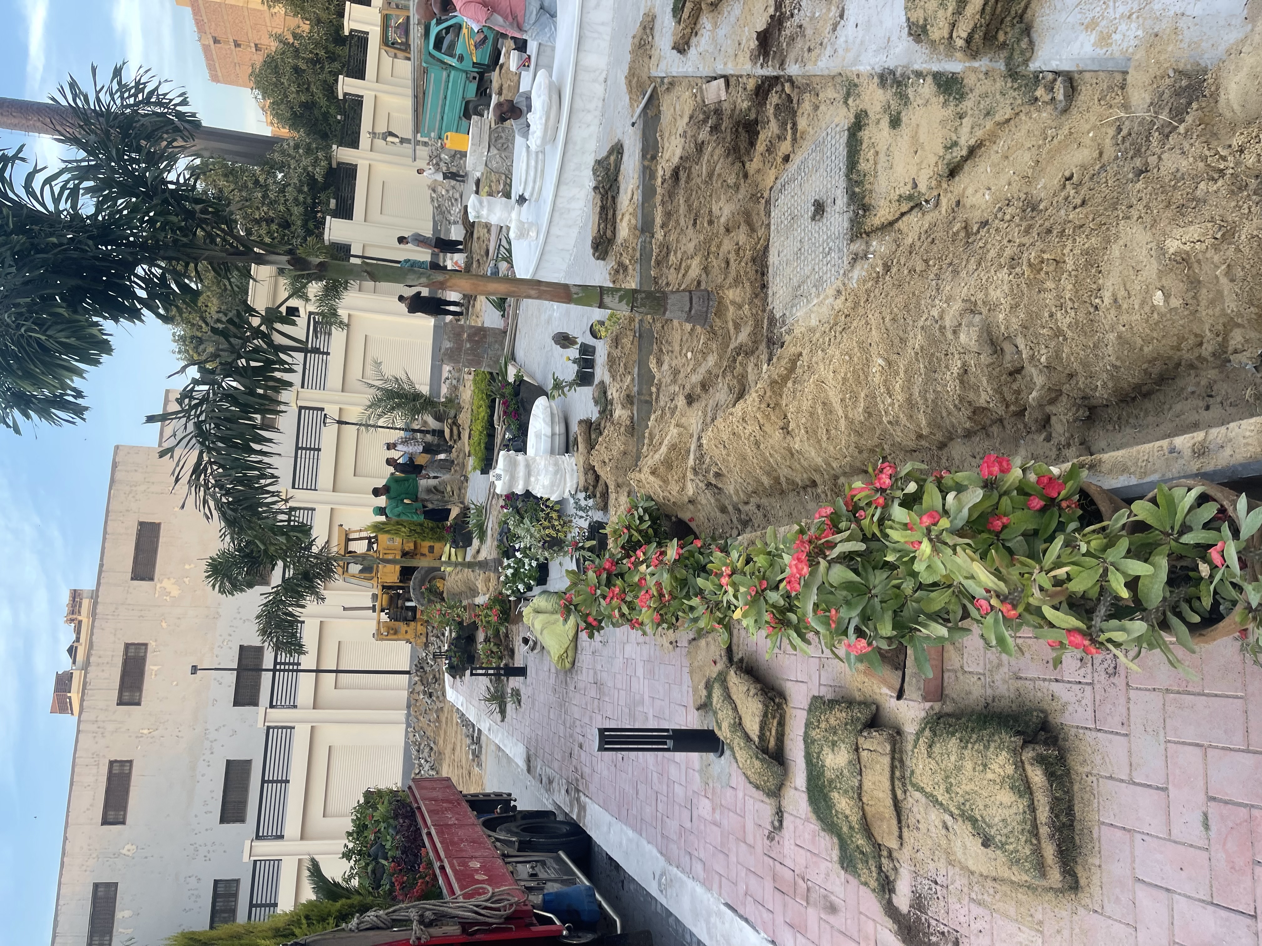 بلانت ميكس مديرية أمن الفيوم