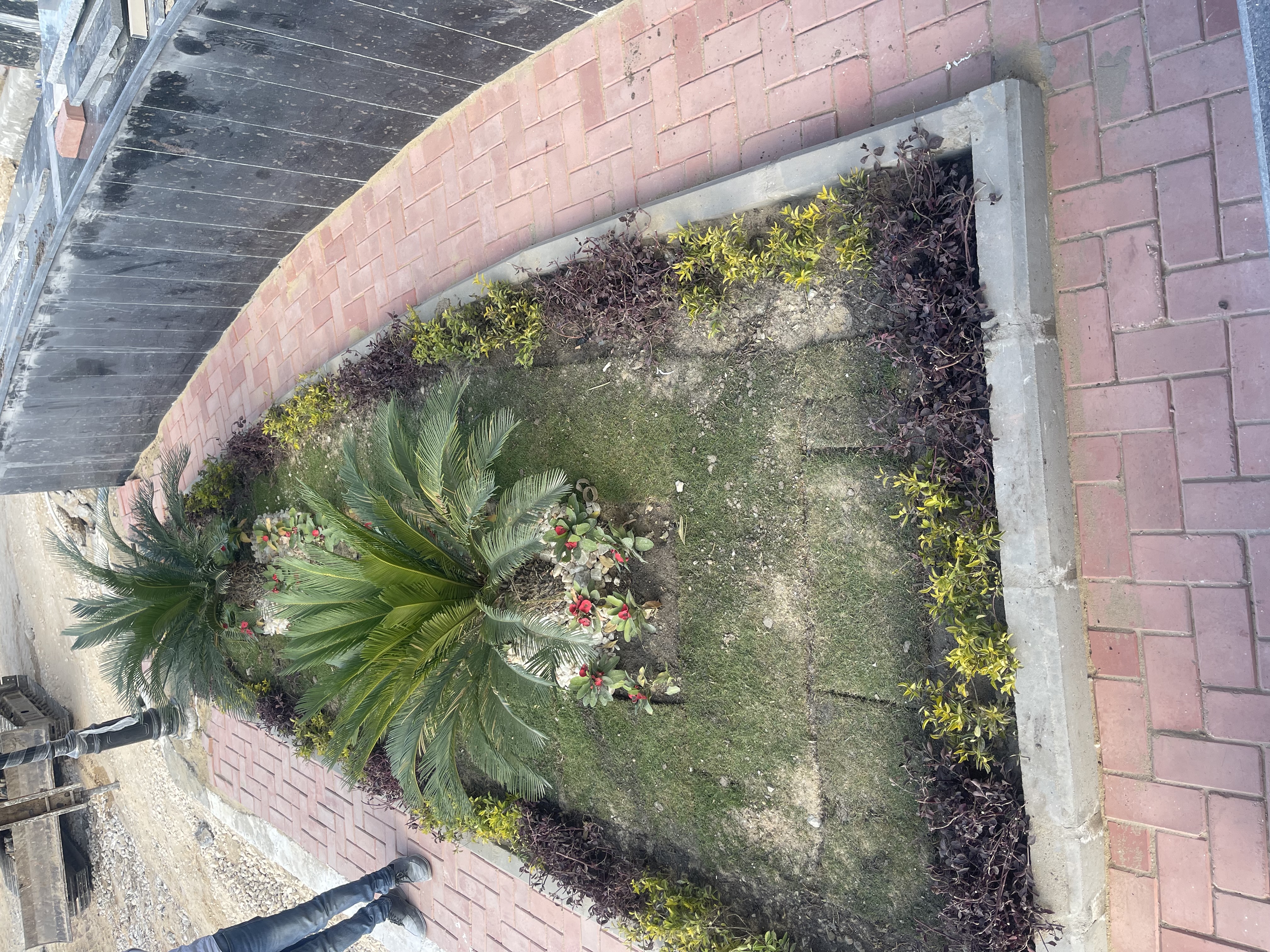 بلانت ميكس مديرية أمن الفيوم