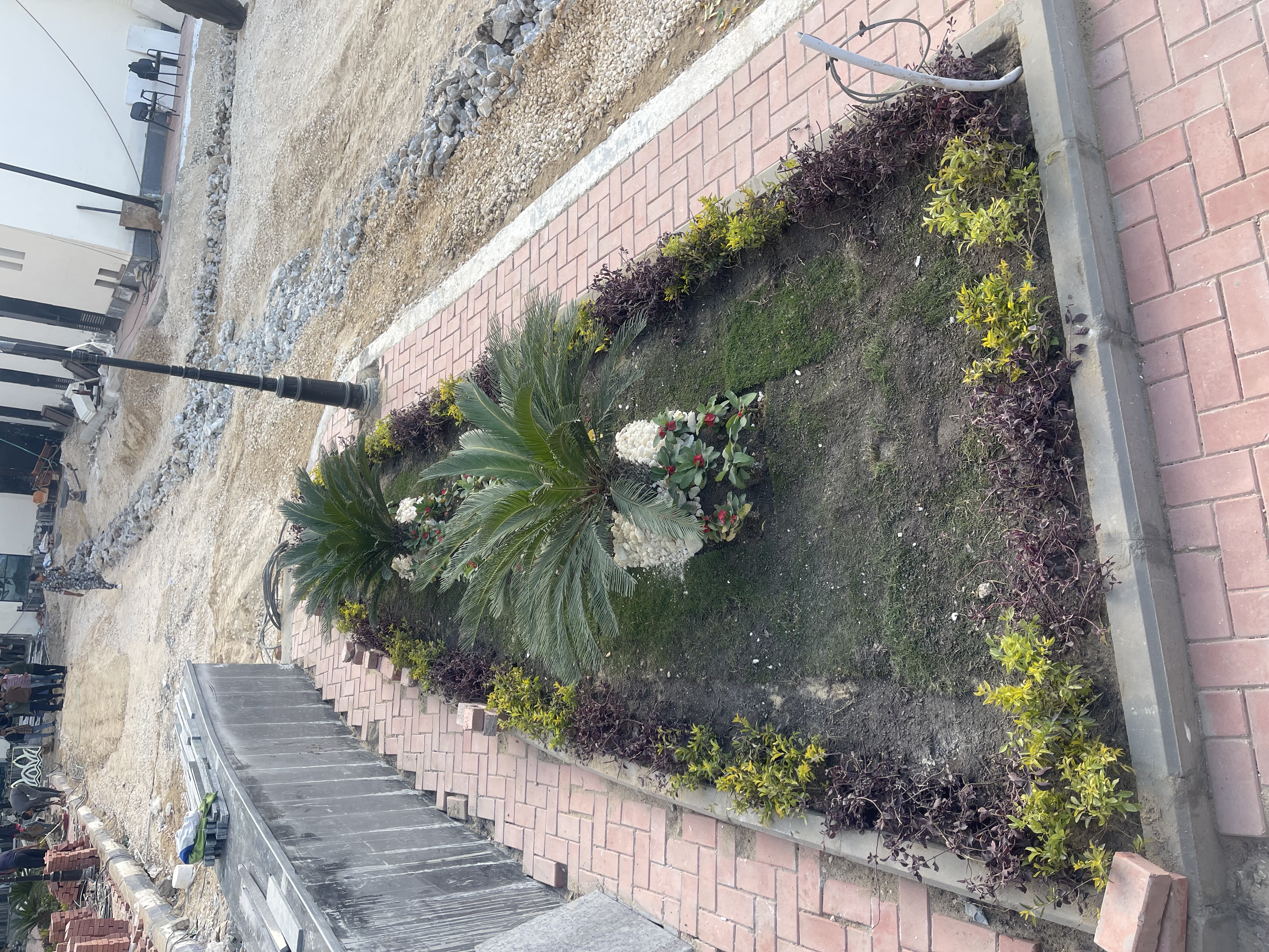 بلانت ميكس مديرية أمن الفيوم