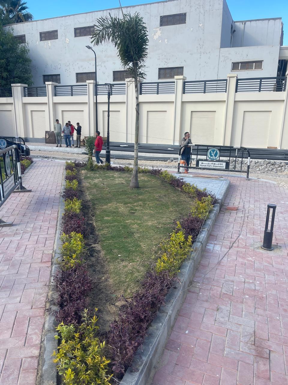 بلانت ميكس مديرية أمن الفيوم