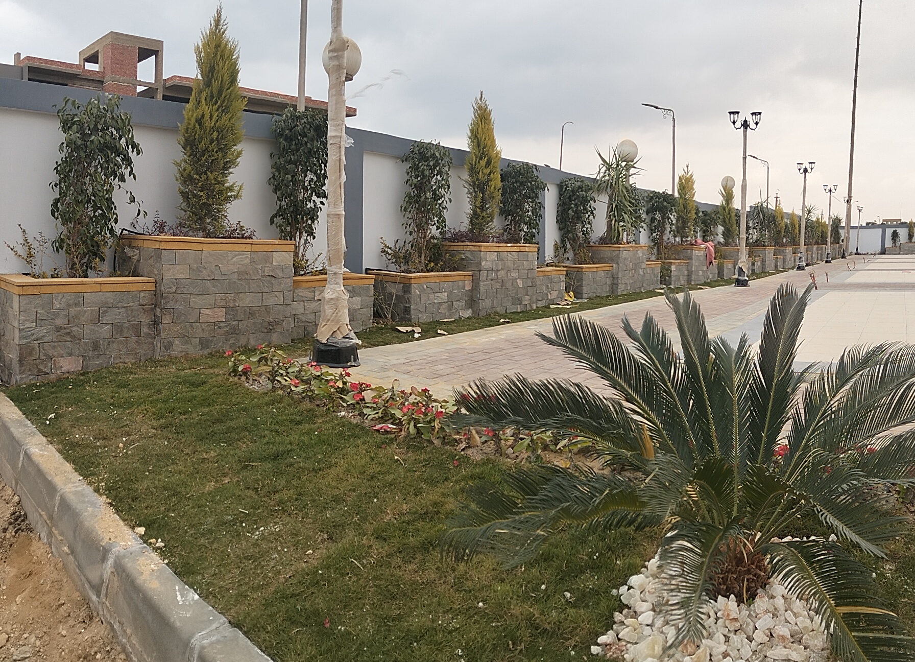 أعمال إنشاءات الزراعات وشبكات الري بالنادي الرياضي بمدينة بني سويف الجديدة